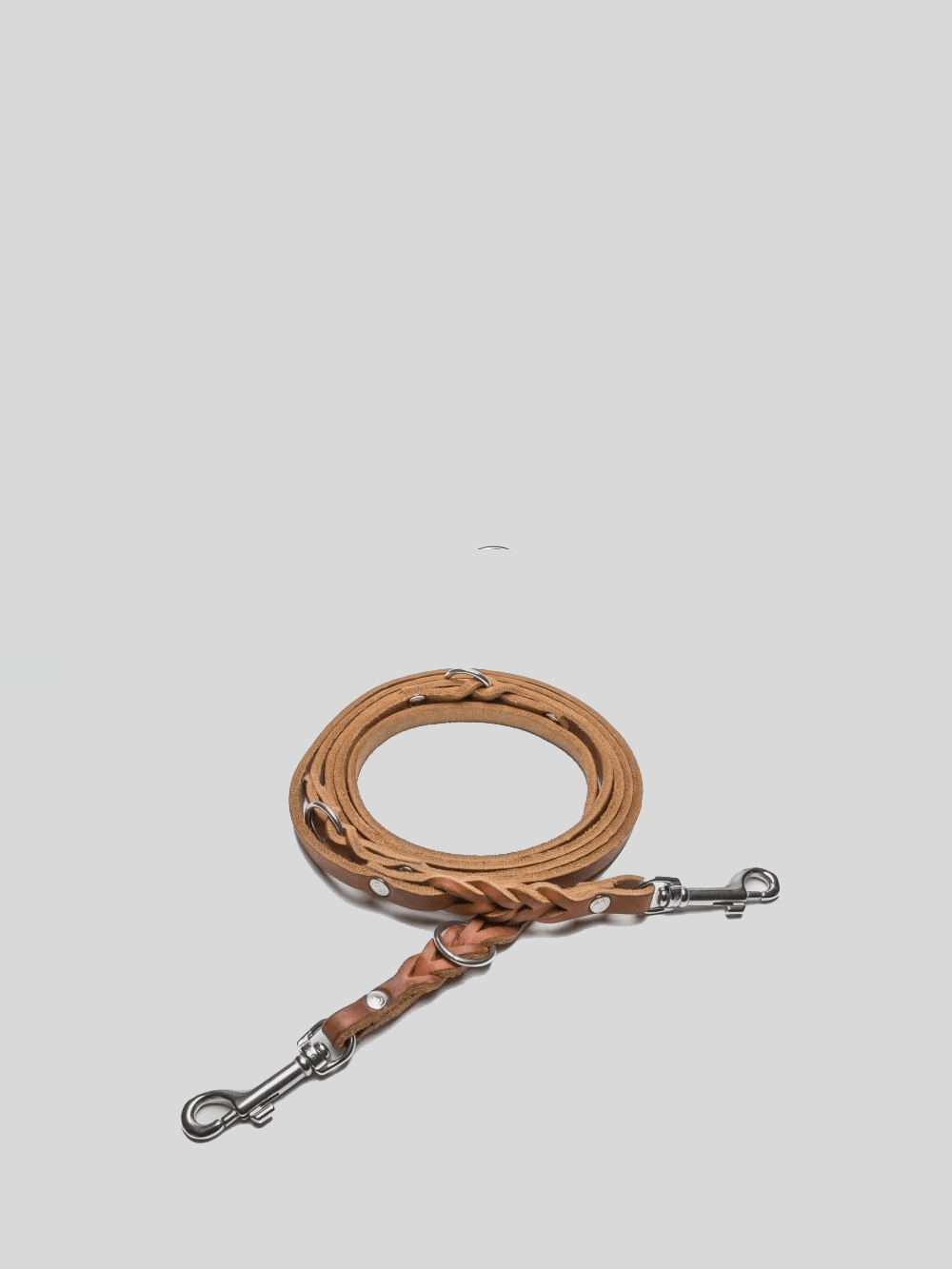 Dog Leash - Riverside Park Camel Dog Leash Cloud7