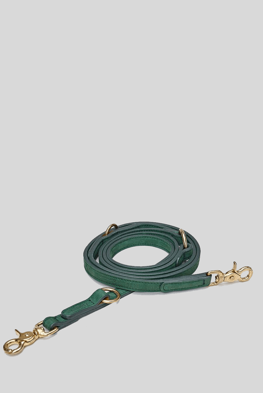 Dog Leash - Tiergarten Park Green Dog Leash Cloud7