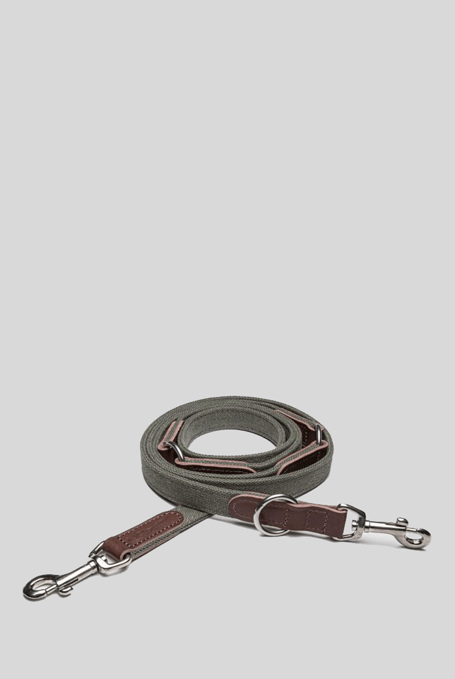 Dog Leash - Tivoli Olive Dog Leash Cloud7