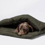 Dog Sleeping Bag - Vancouver Olive Dog Sleeping Bag Cloud7