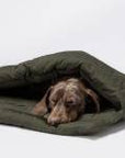 Dog Sleeping Bag - Vancouver Olive Dog Sleeping Bag Cloud7