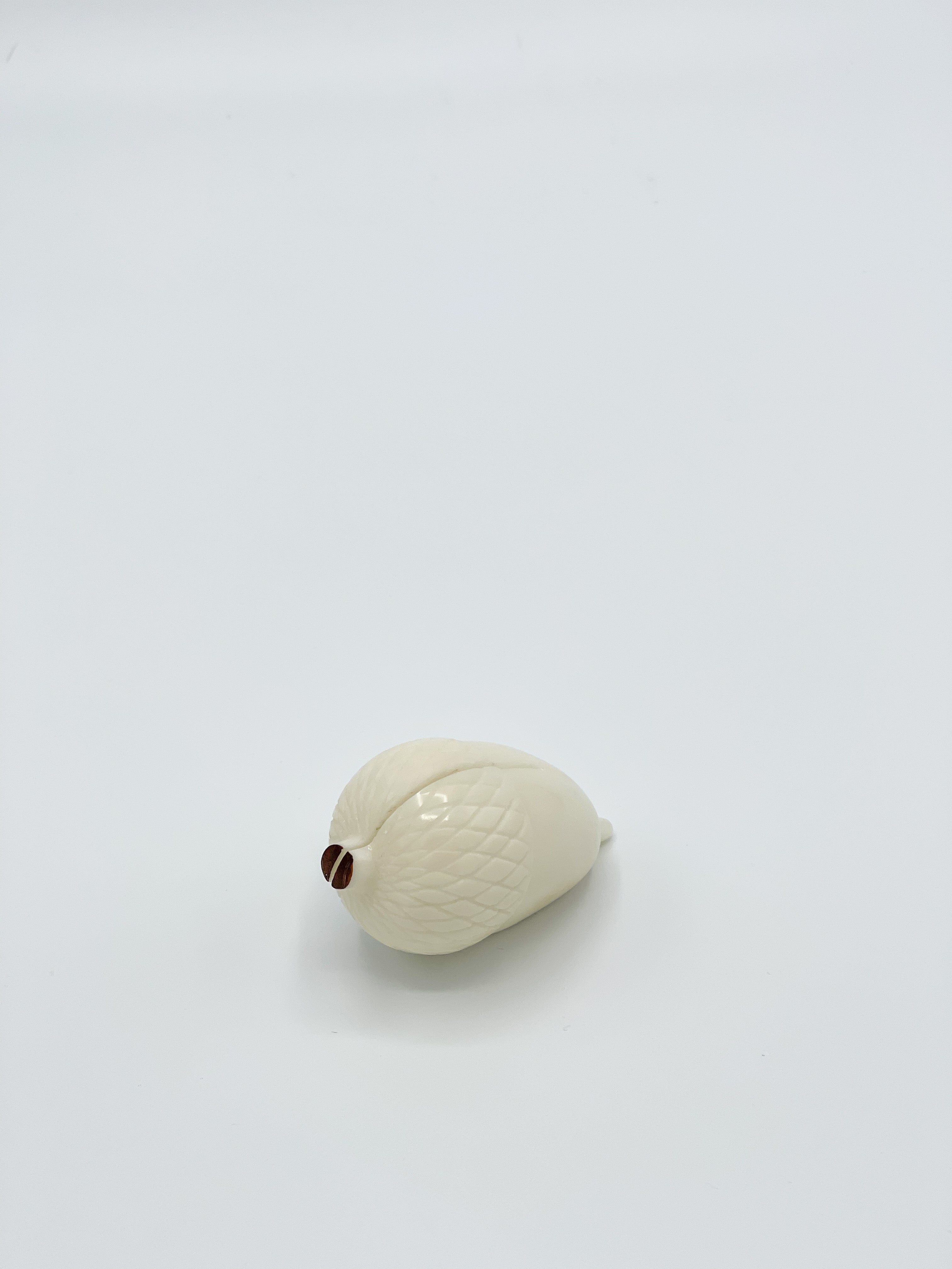 Cardholder ECOivory- Acorn - Cigale & Fourmi
