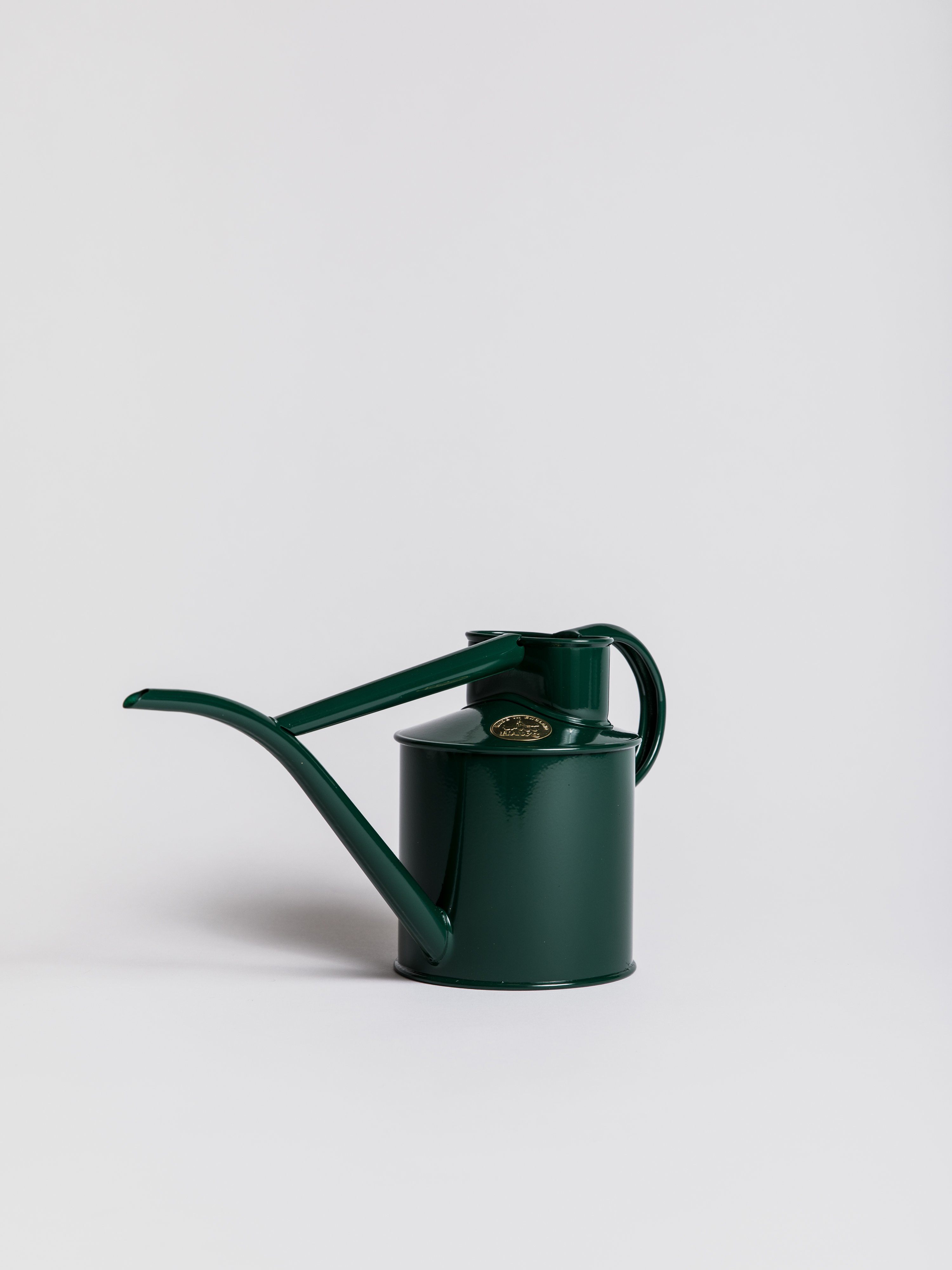 Indoor Pot Waterer (Large) - Green Indoor Watering Can Haws