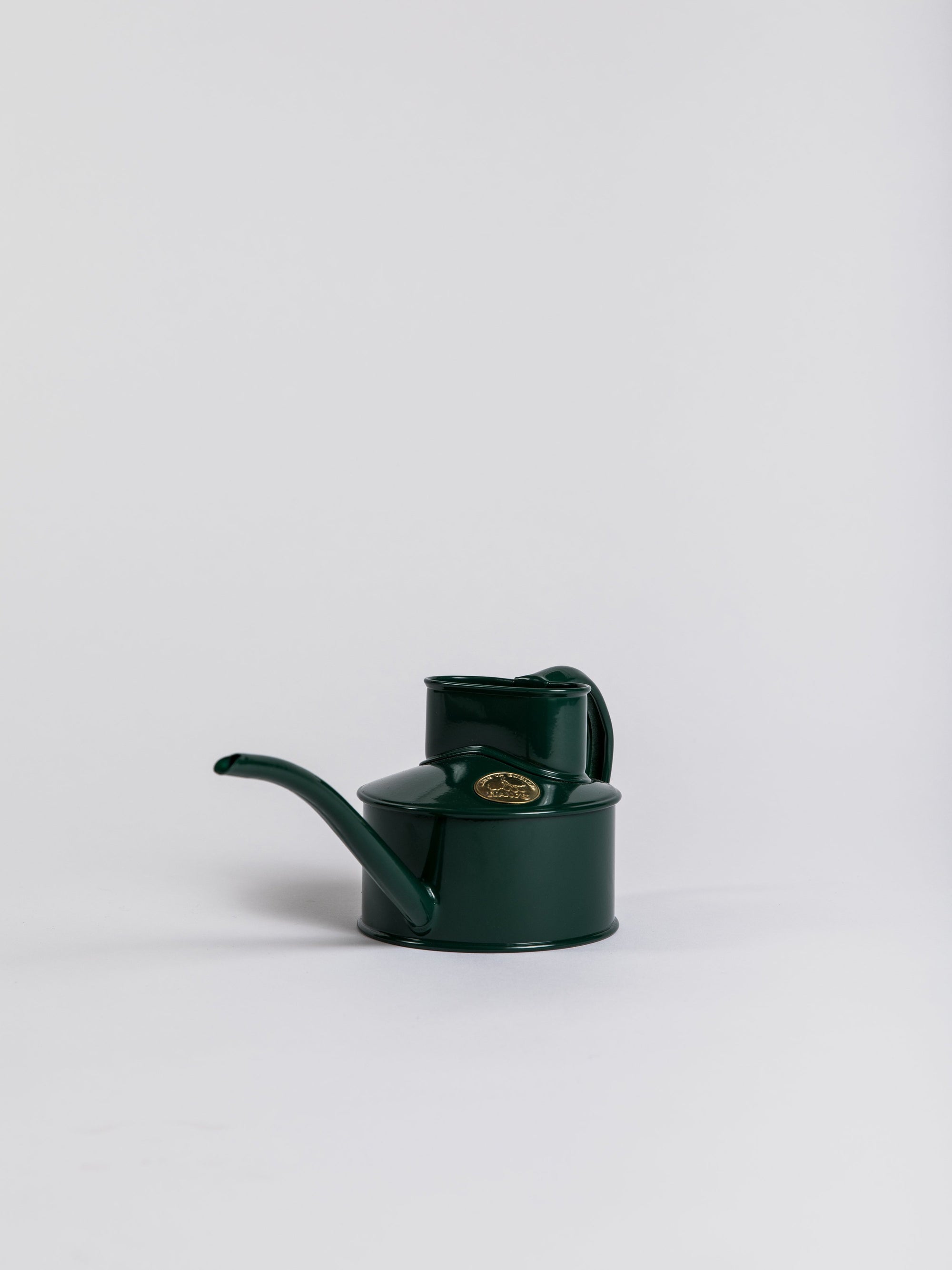 Indoor Pot Waterer (Small) - Green Indoor Watering Can Haws
