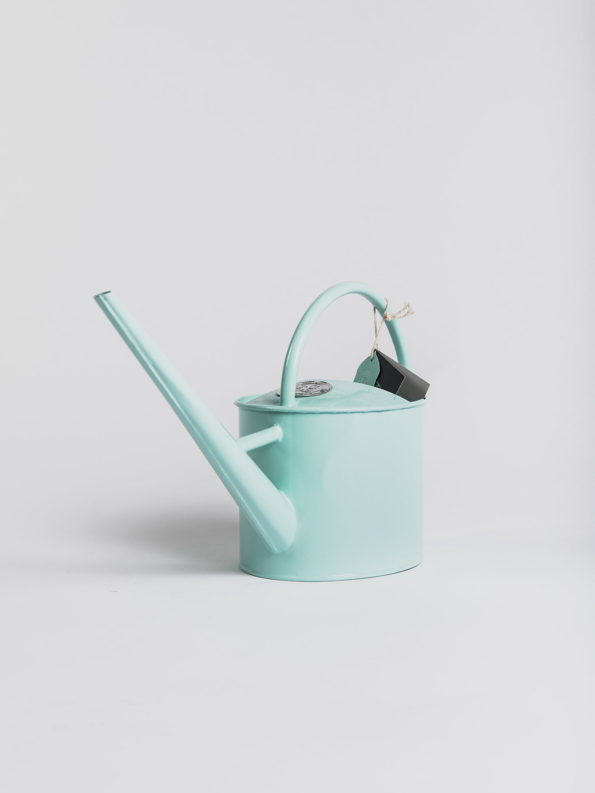 Indoor Watering Can - Duck Egg Blue Indoor Watering Can Burgon &amp; Ball 