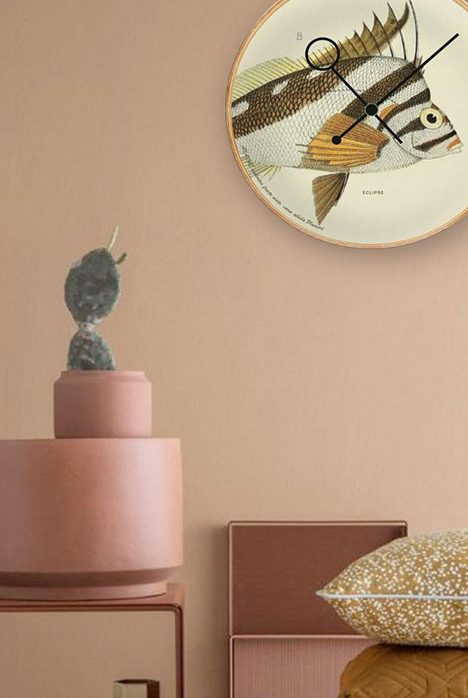 Kitchen Wall Clock - Chilodactylus Vittatus Clock Cloudnola