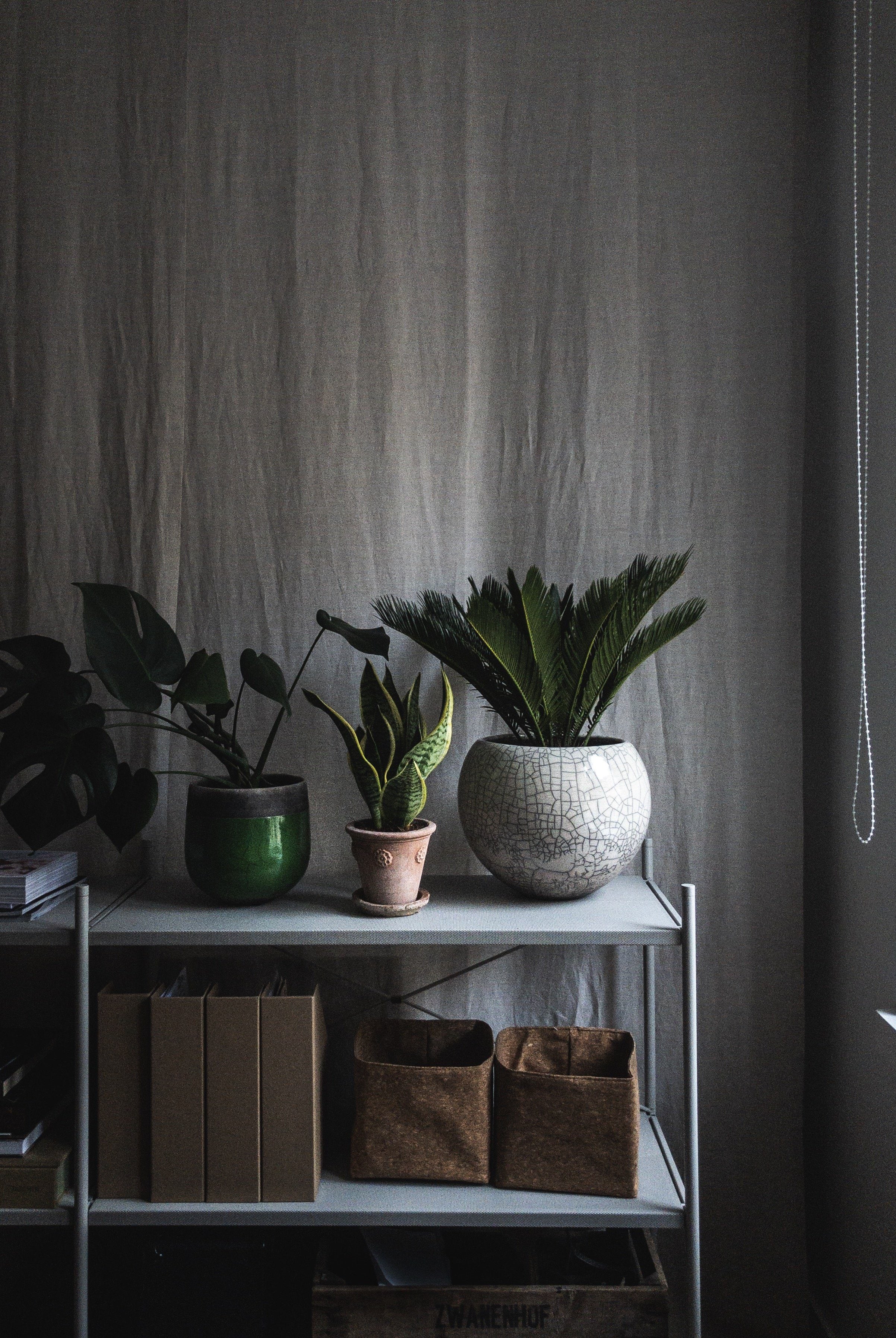 Lund - White Pottery Domani