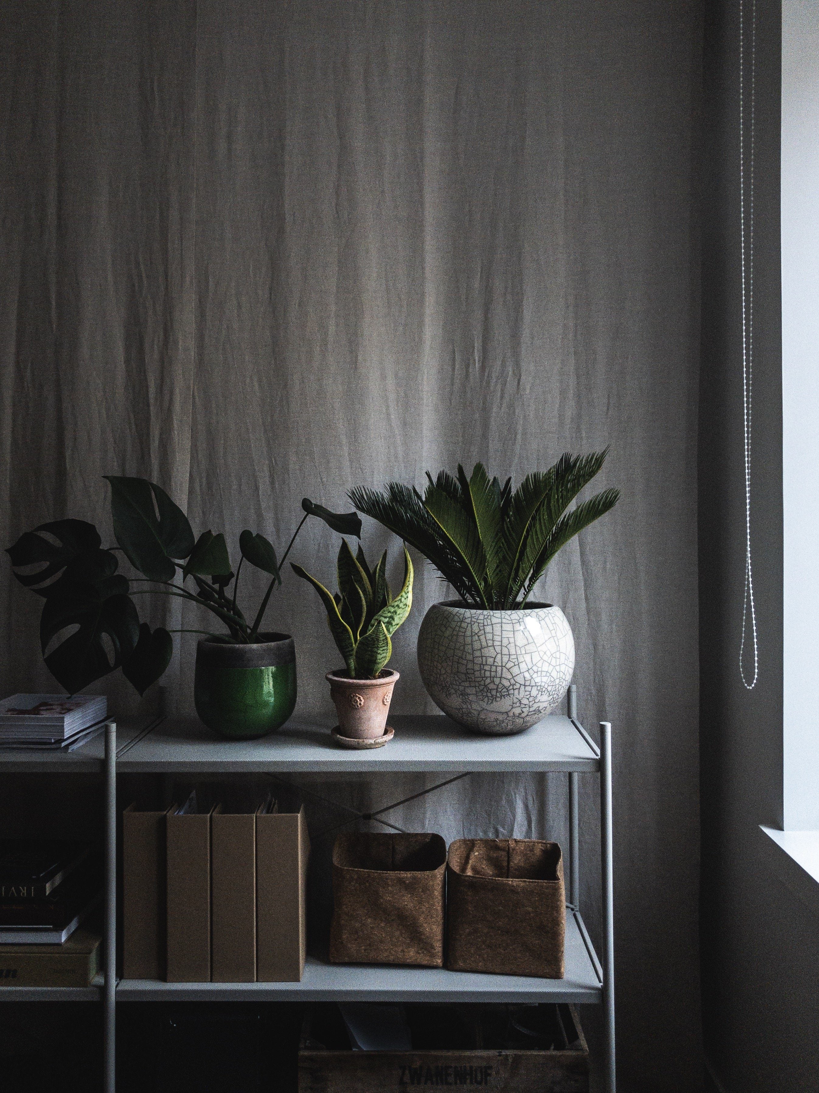 Lund - White Pottery Domani