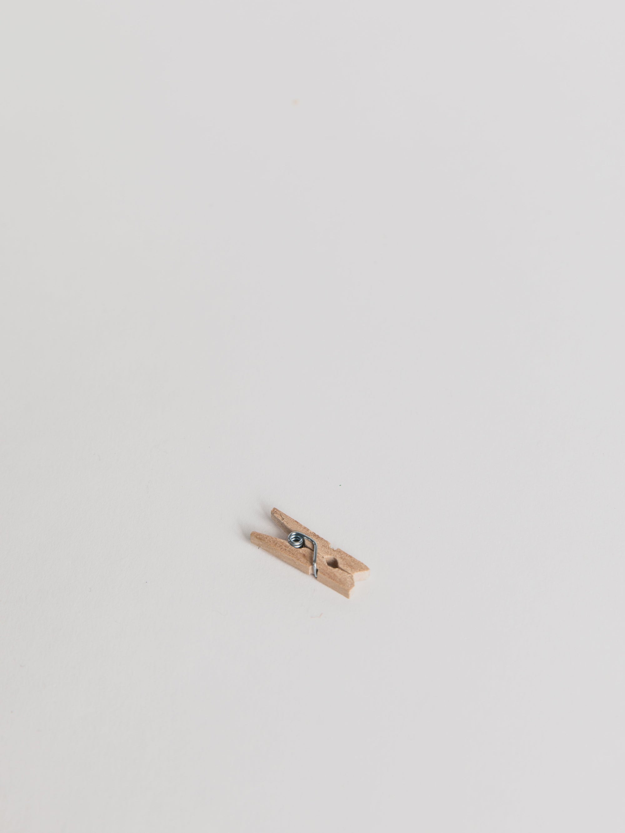 Mini Pegs Children Redecker