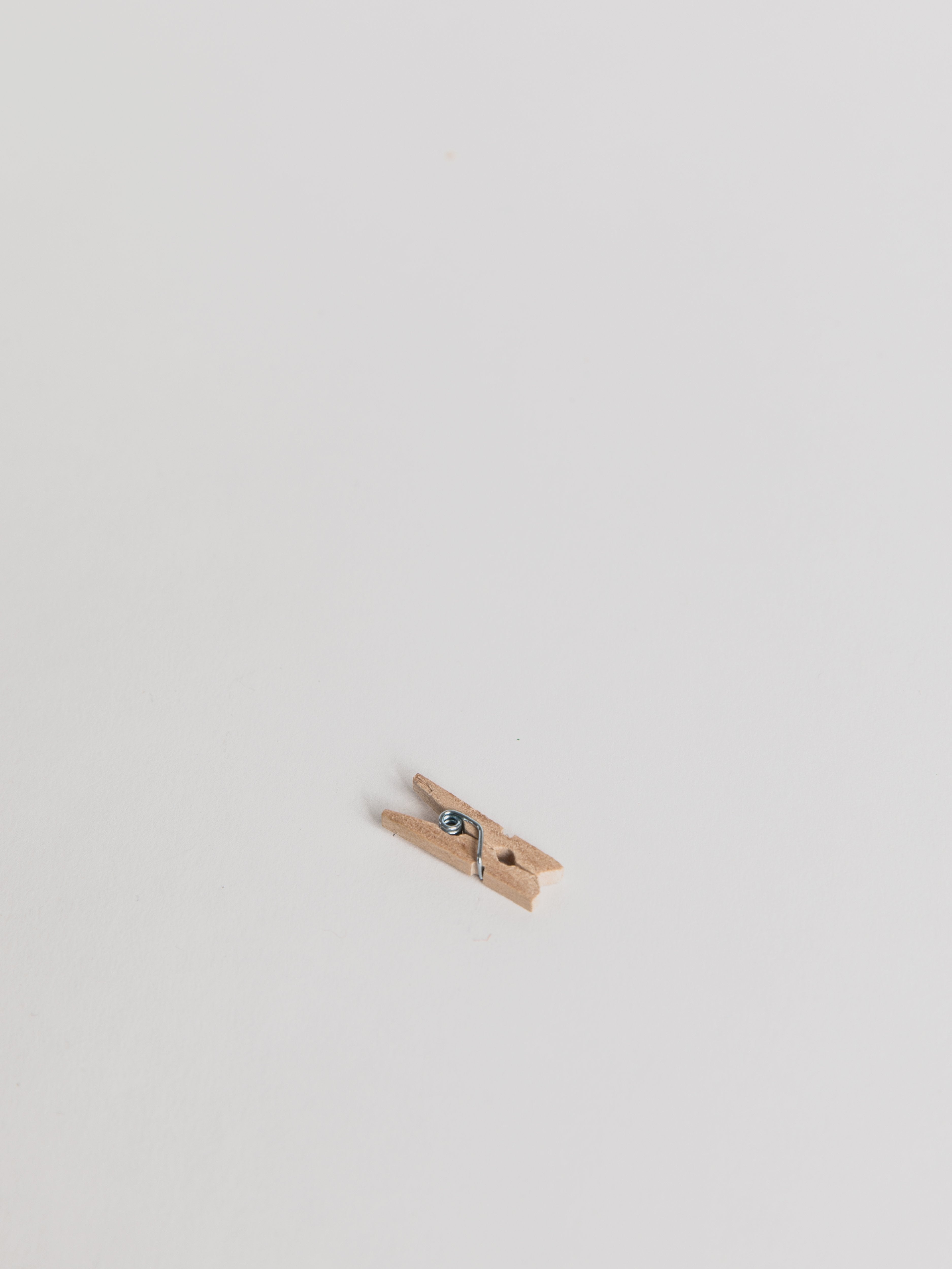 Mini Pegs Children Redecker