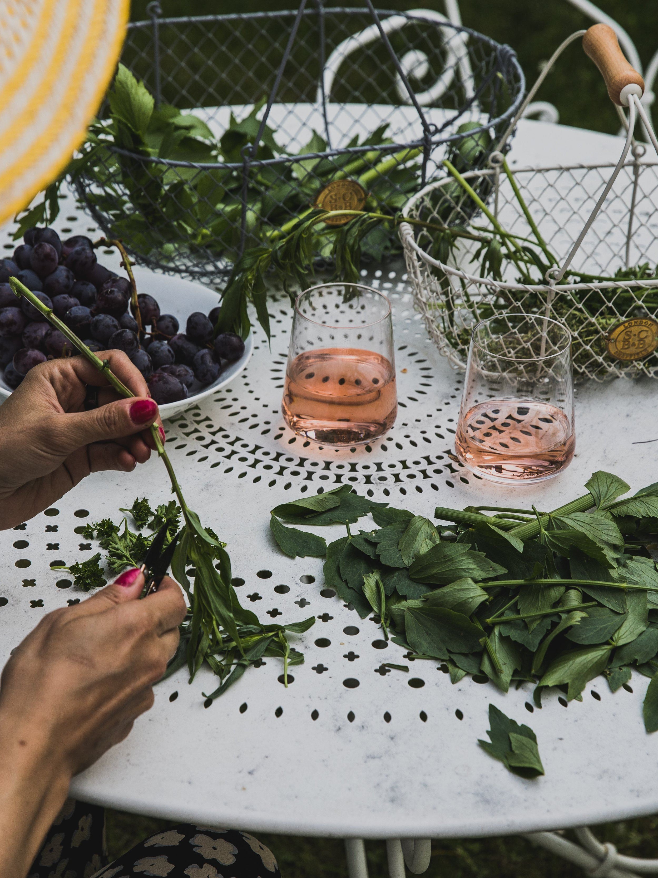 Mini Snip Garden Tool Burgon & Ball