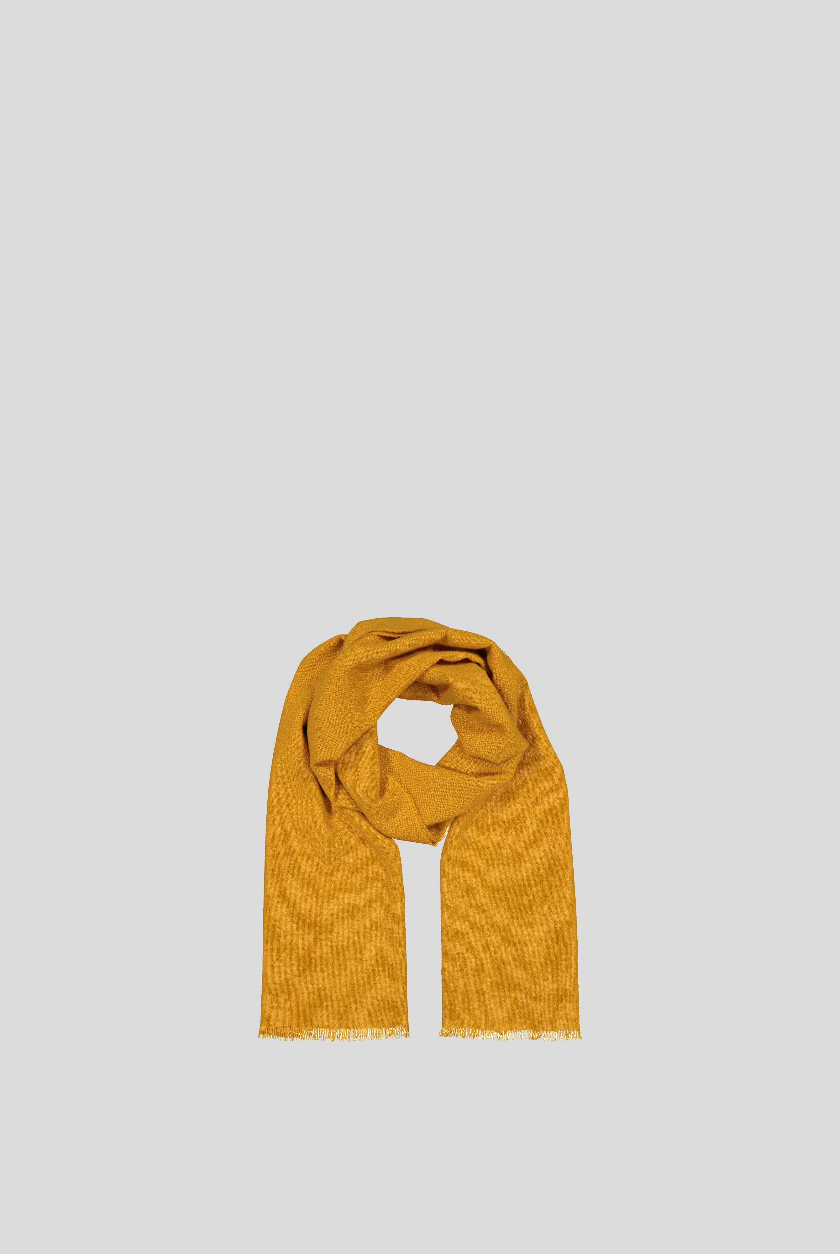 Cashmere Scarf - Saffron - Cigale & Fourmi