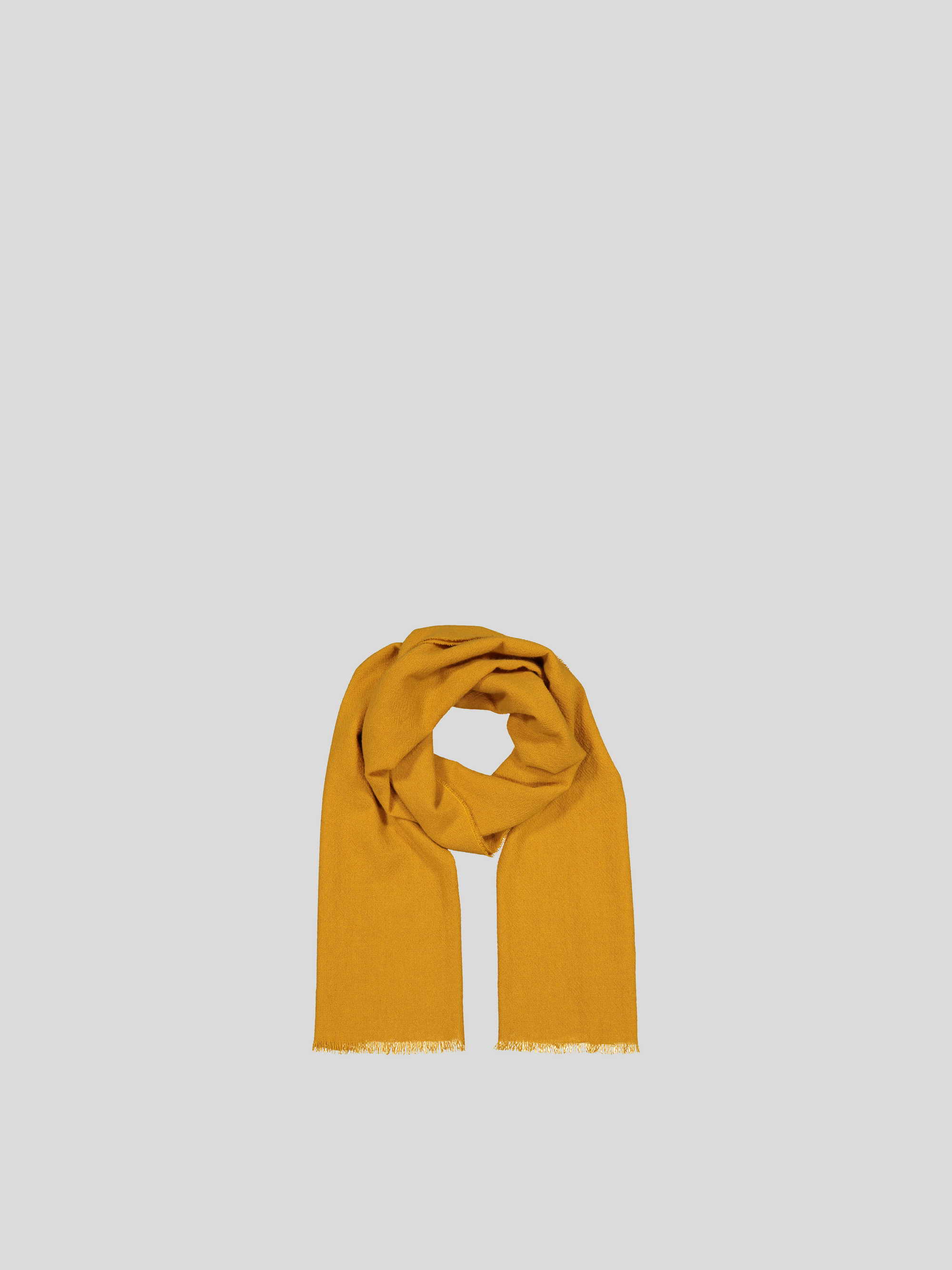 Cashmere Scarf - Saffron - Cigale &  Fourmi