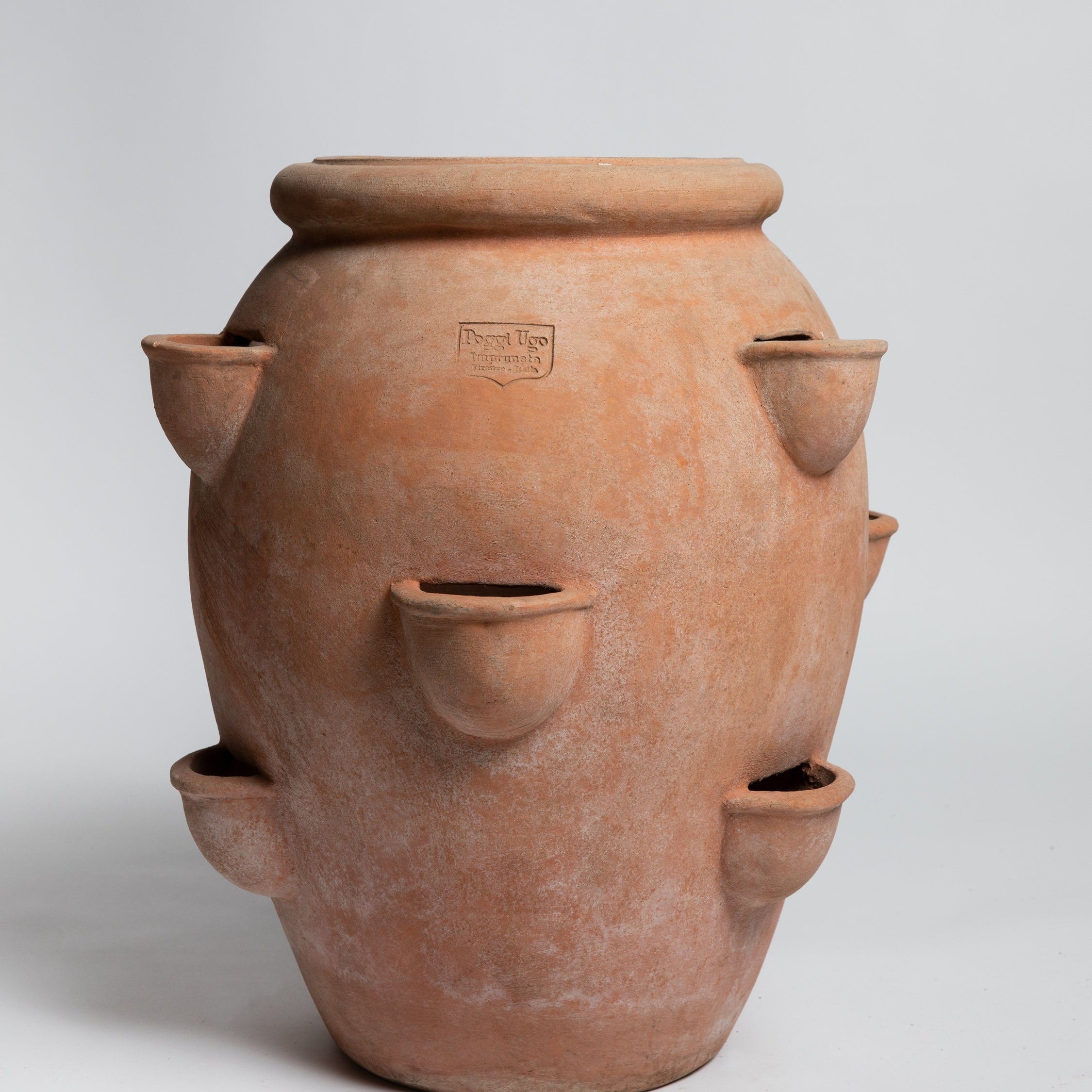 Orcio Fragoleira - Terracotta Pot Poggi Ugo