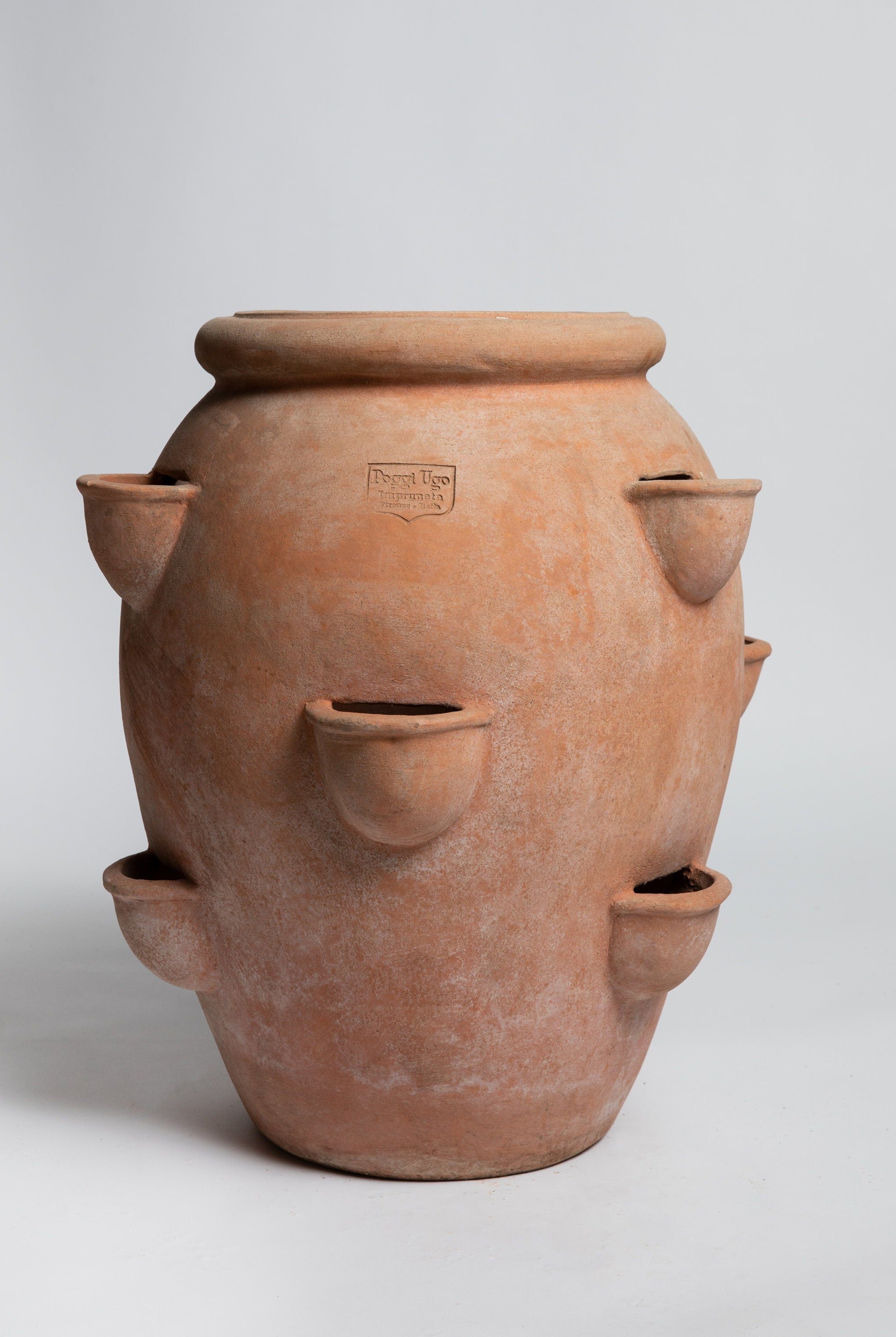 Orcio Fragoleira - Terracotta Pot Poggi Ugo