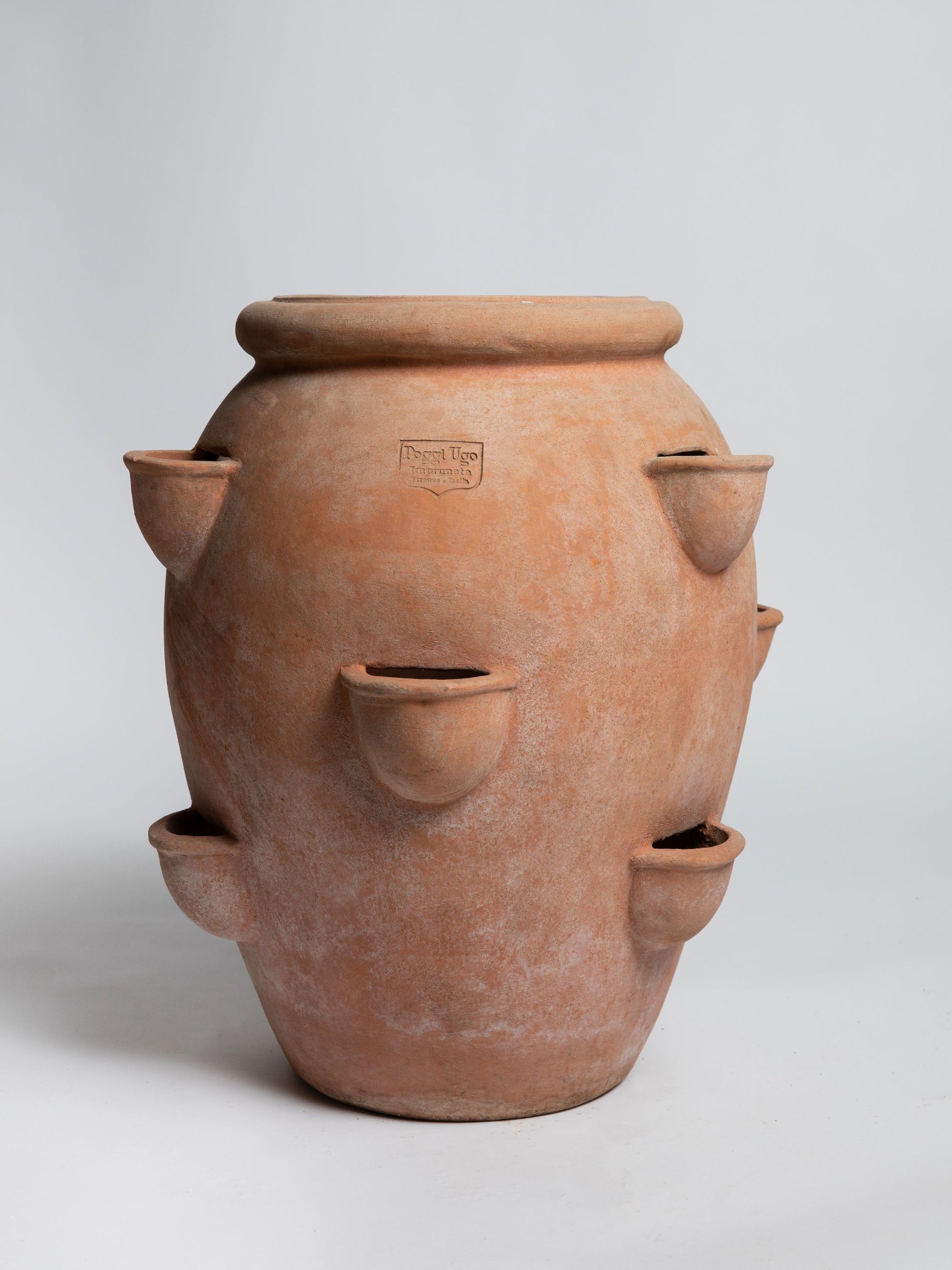 Orcio Fragoleira - Terracotta Pot Poggi Ugo
