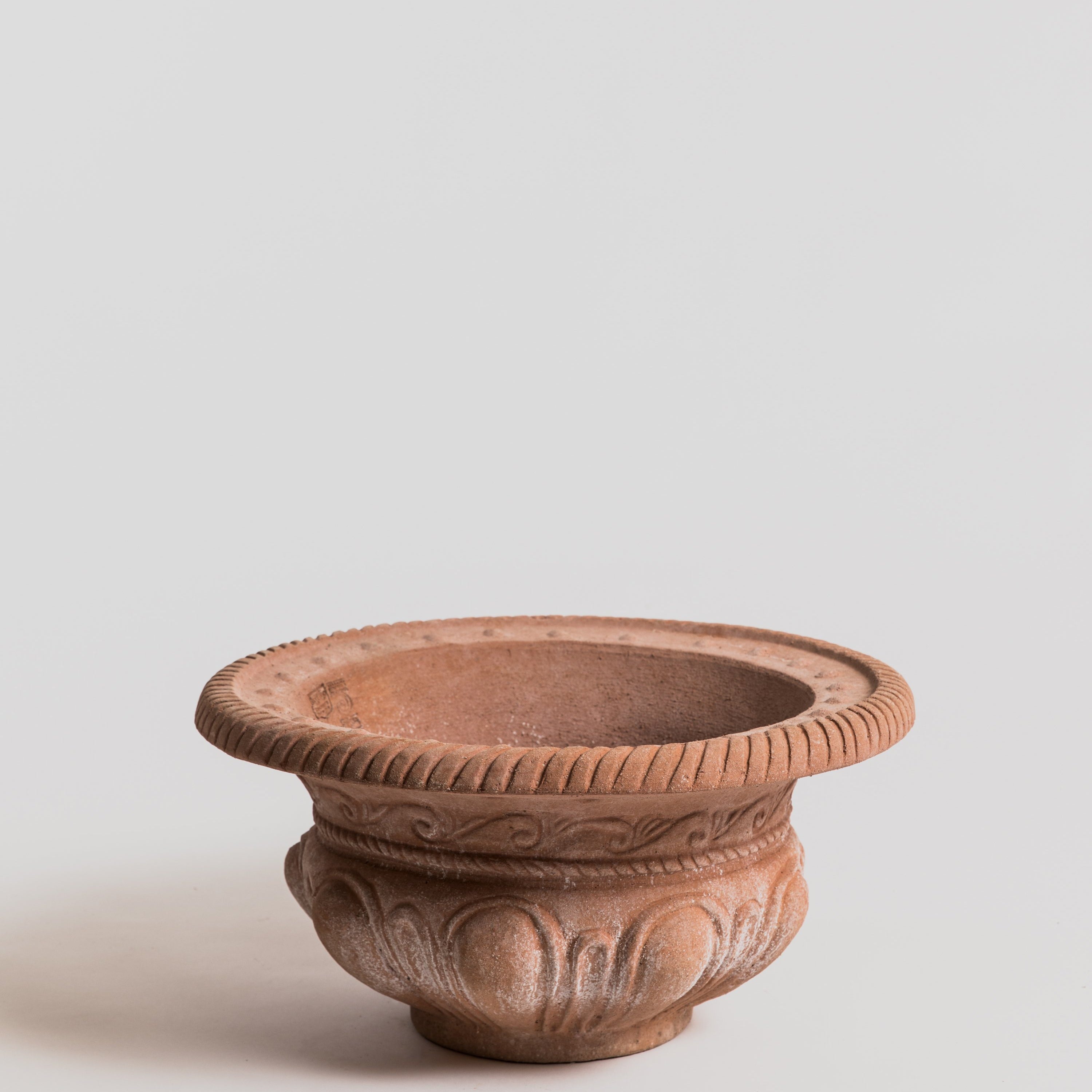 Portovaso a Tazza Baccellato Pot Poggi Ugo