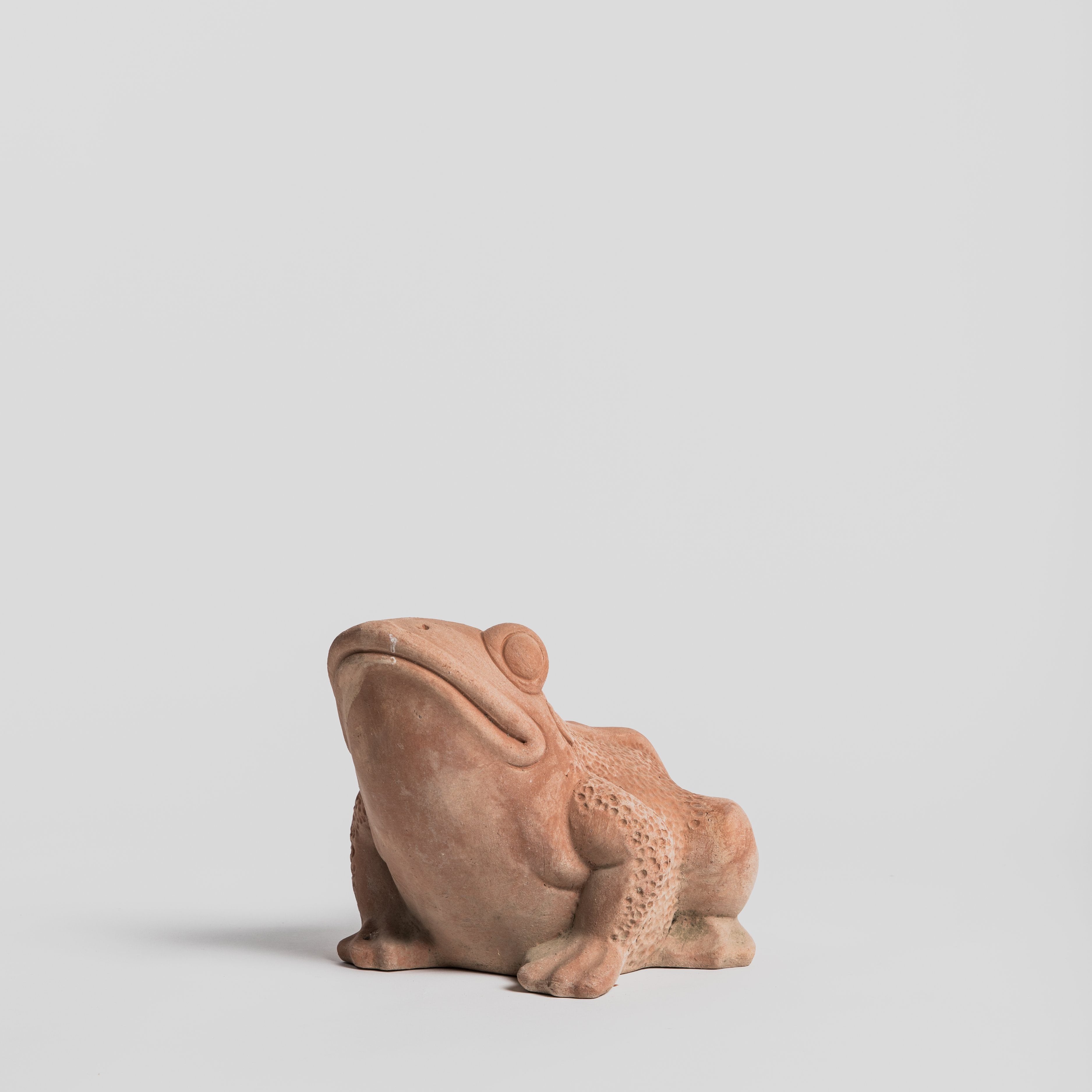 Rana Grande - Large Frog Pot M.I.T.A.L