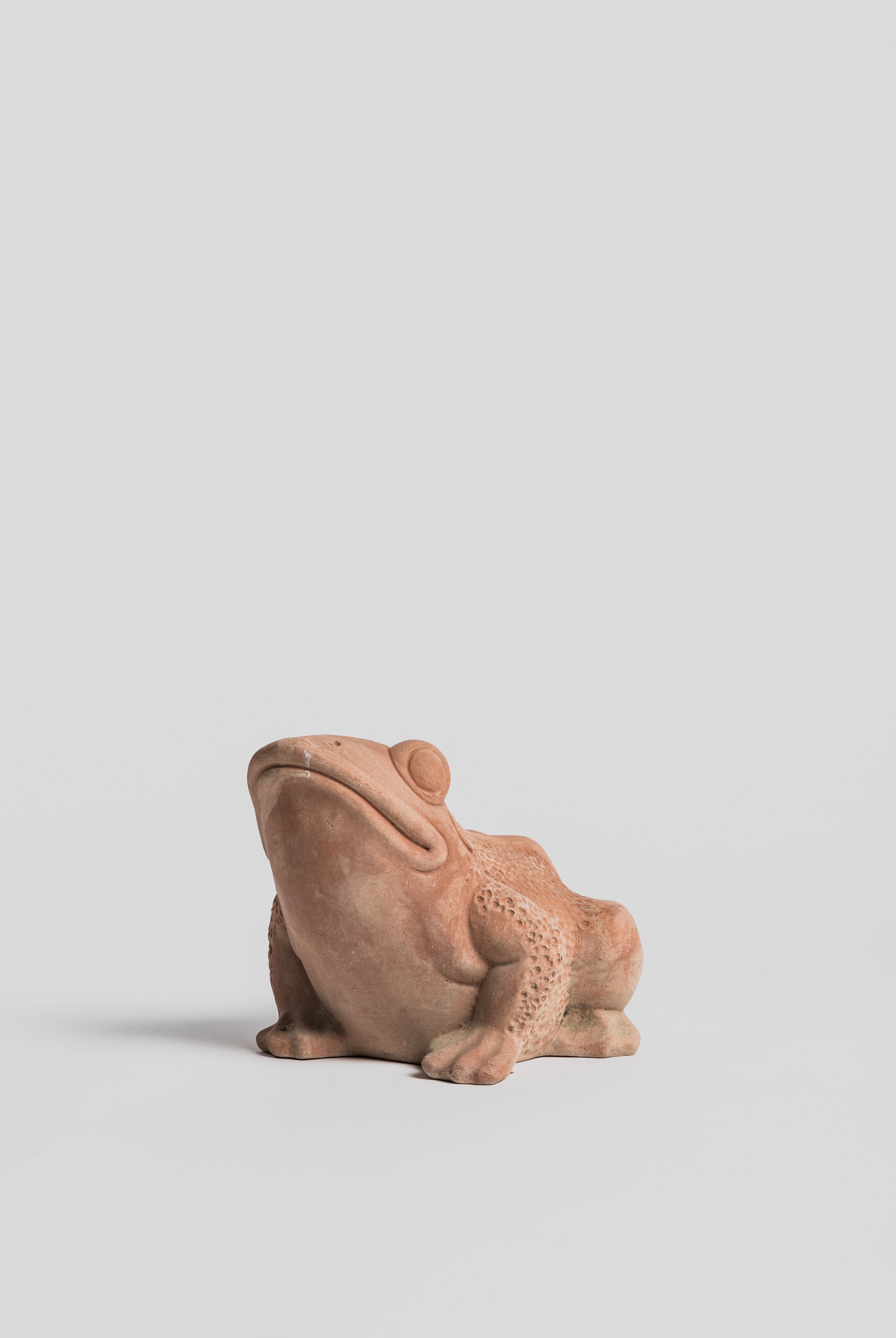 Rana Grande - Large Frog Pot M.I.T.A.L