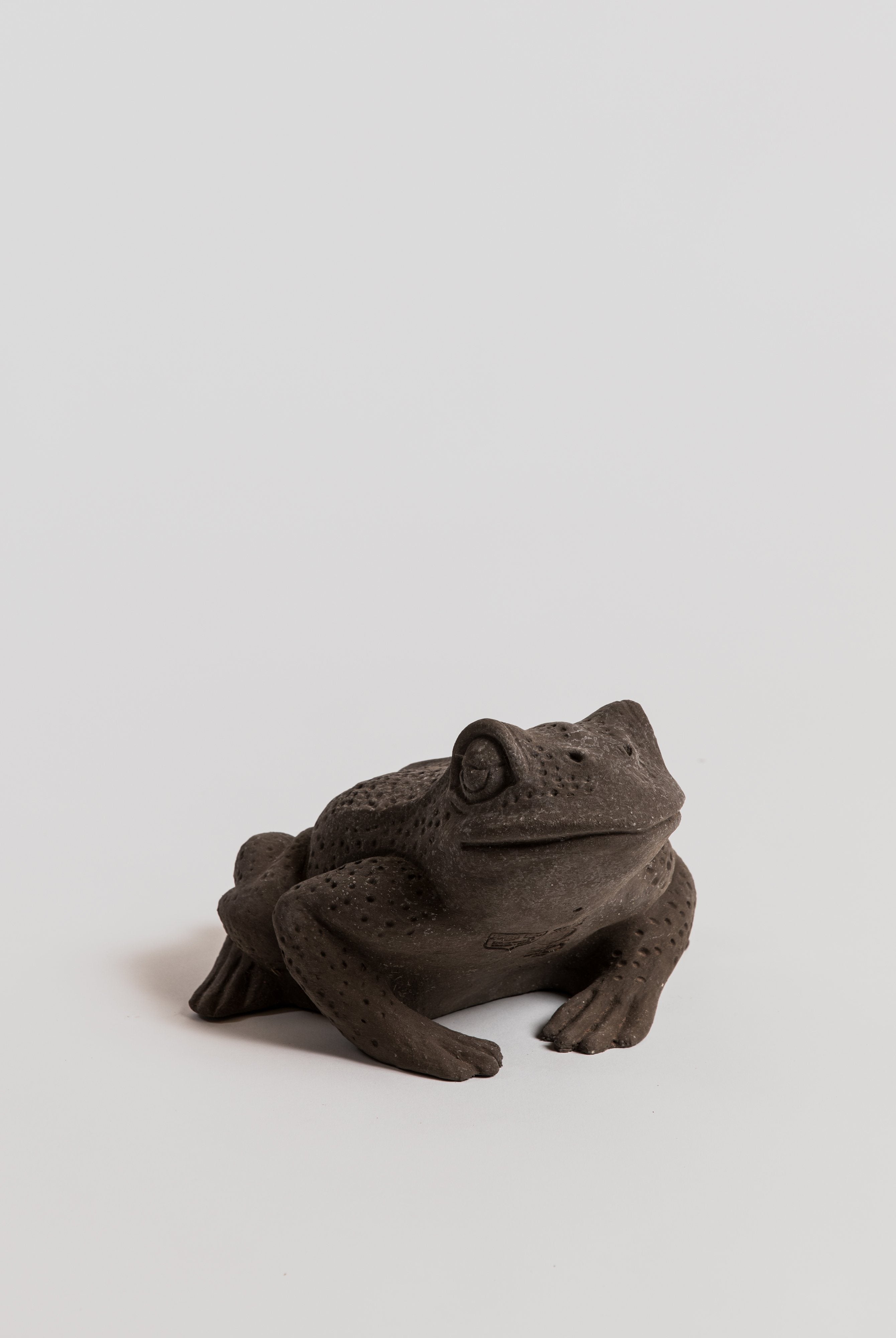 Rospo (Tod) - Grey Statue Poggi Ugo
