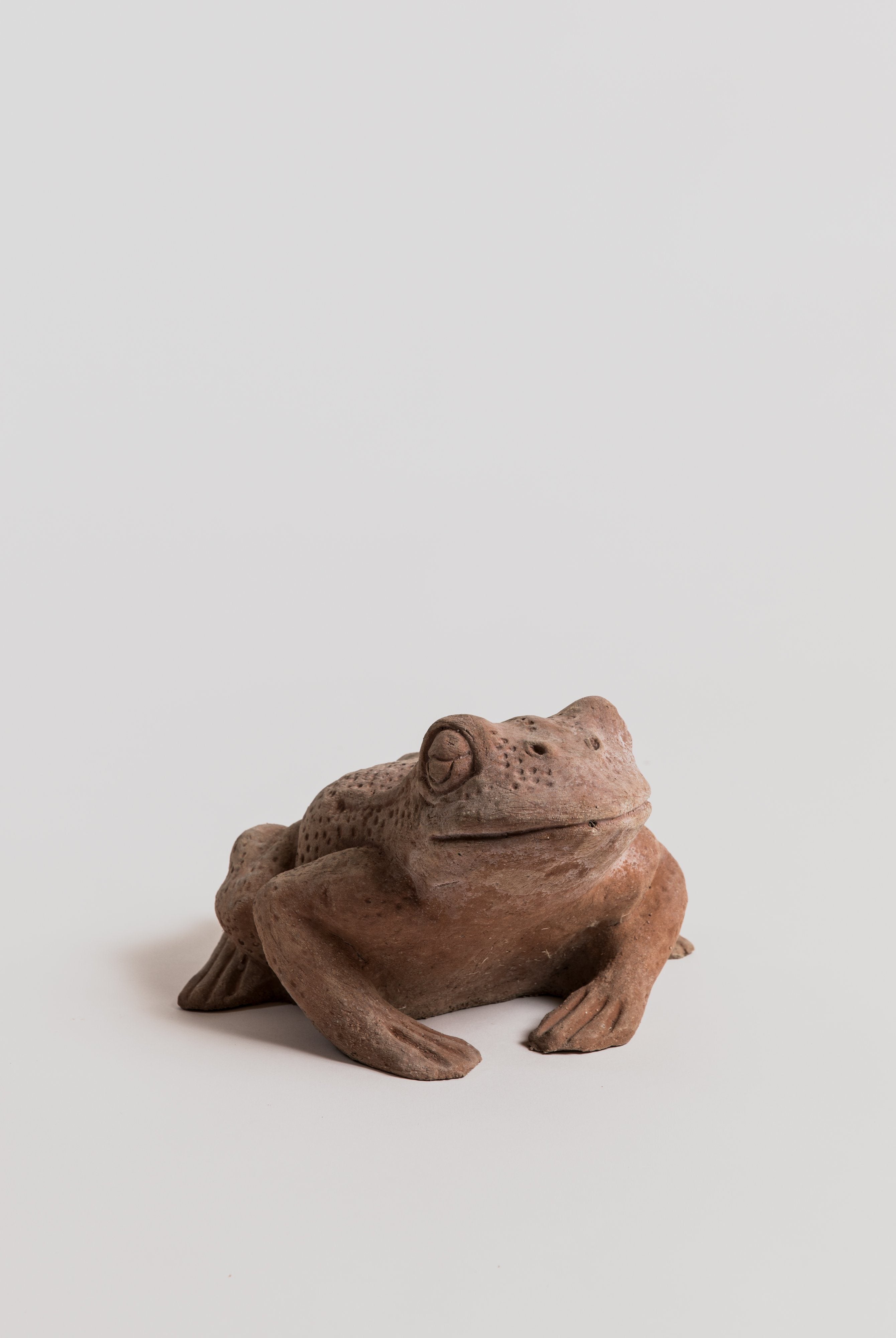 Rospo (Tod) - Terracotta Statue Poggi Ugo