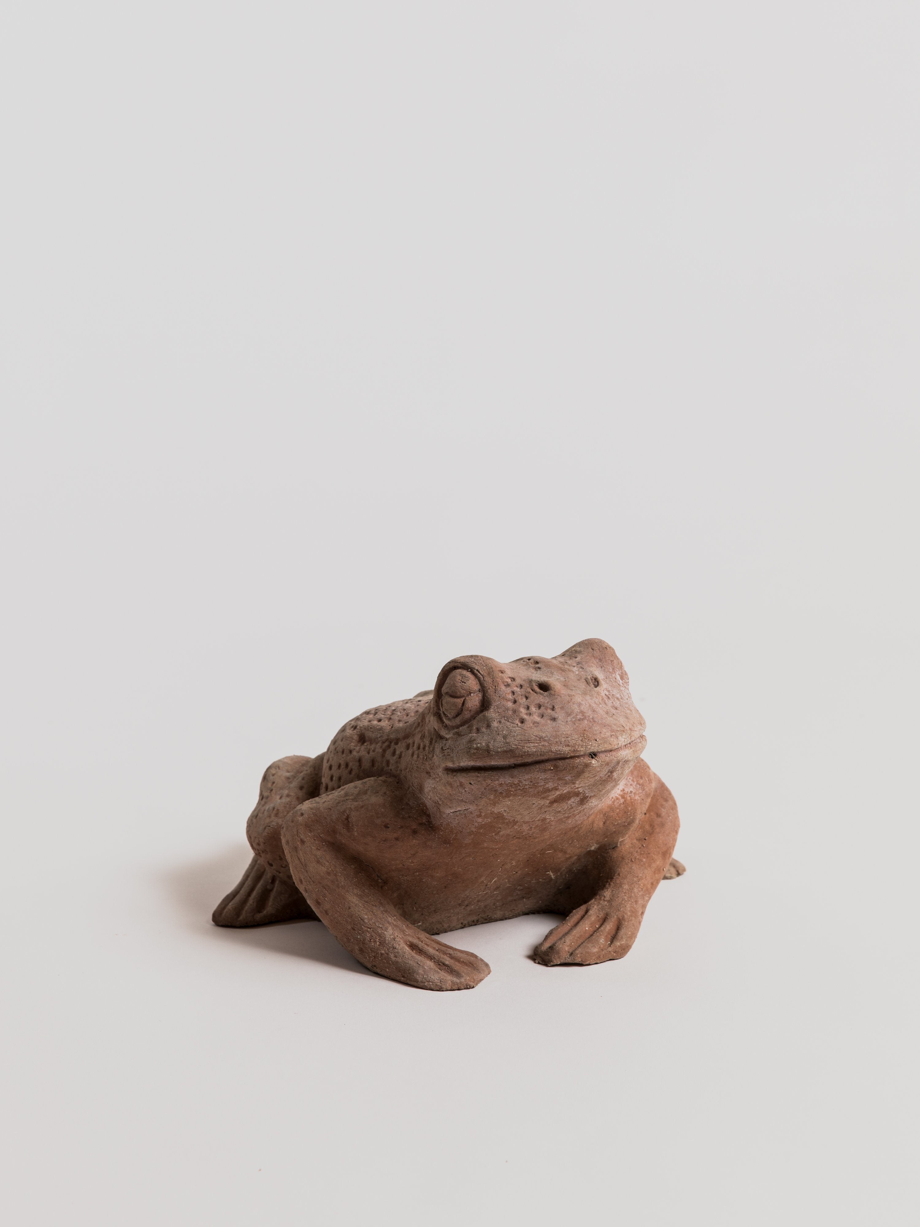 Rospo (Tod) - Terracotta Statue Poggi Ugo