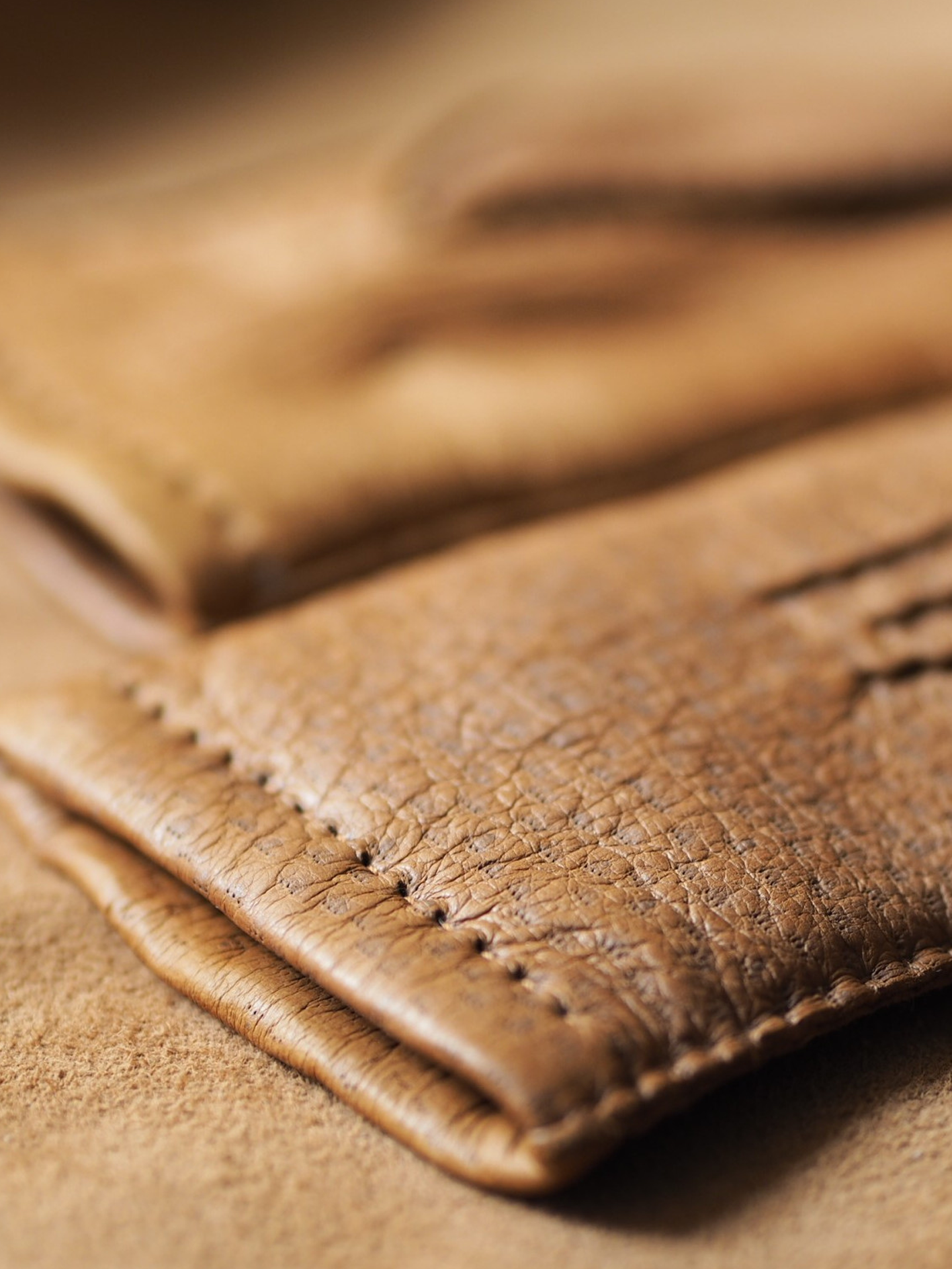 SAARA Peccary CORK 100% Cashmere - Cigale & Fourmi
