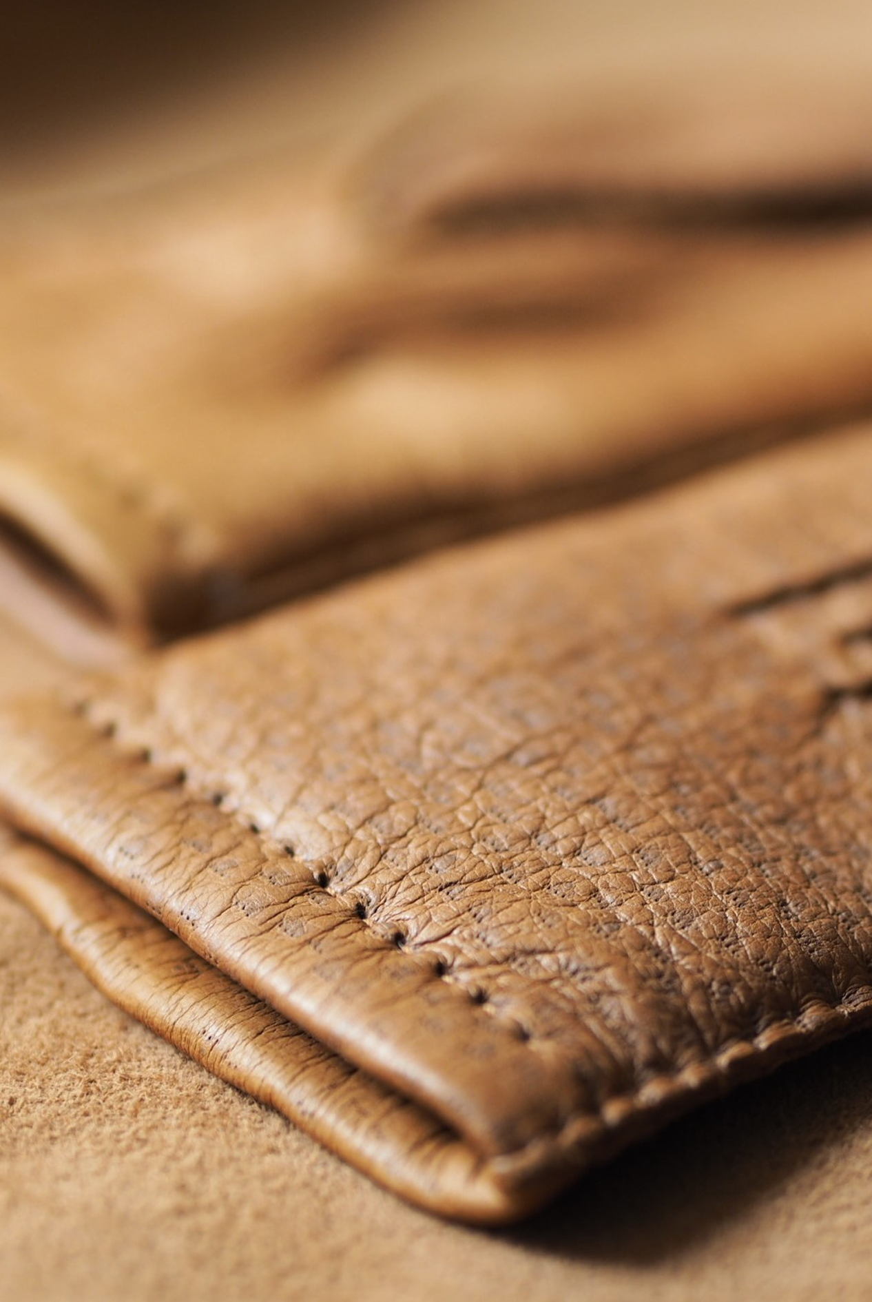 SAARA Peccary CORK 100% Cashmere - Cigale & Fourmi