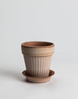Simona - Terracotta Pottery Bergs Potter