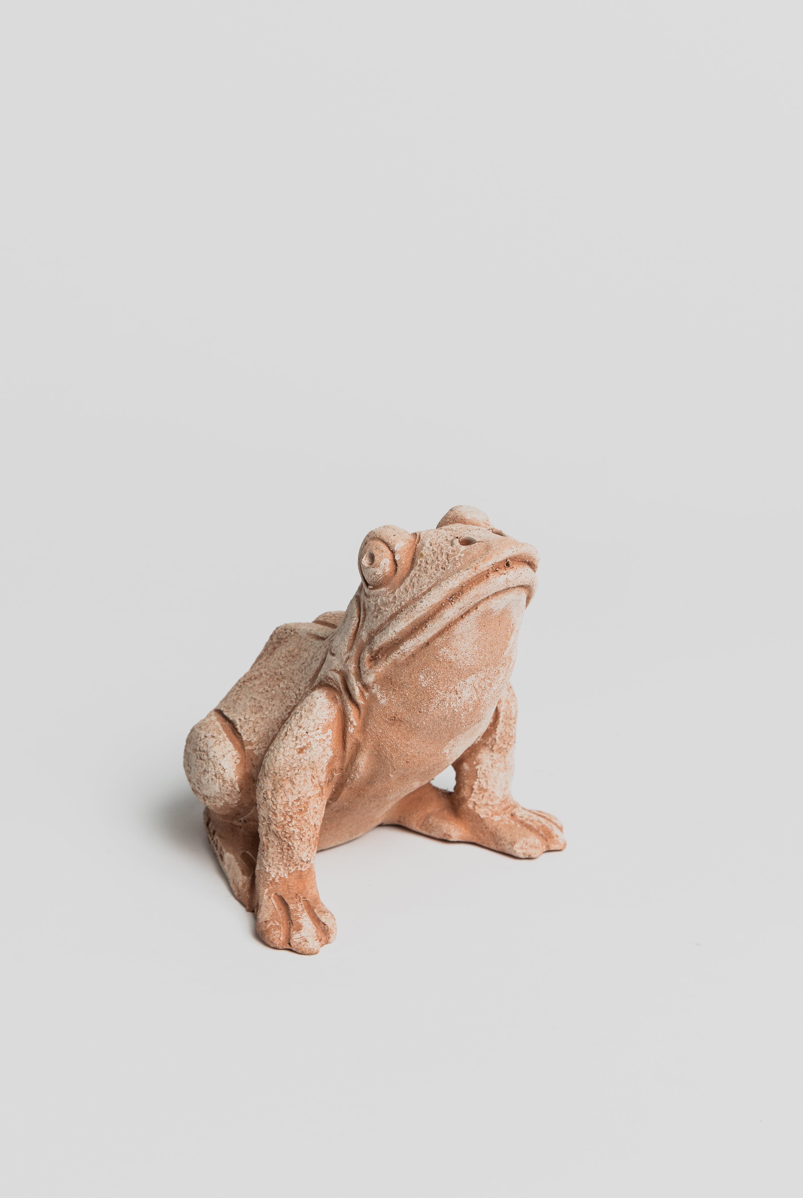 Small Frog Statue - Terracotta Statue M.I.T.A.L