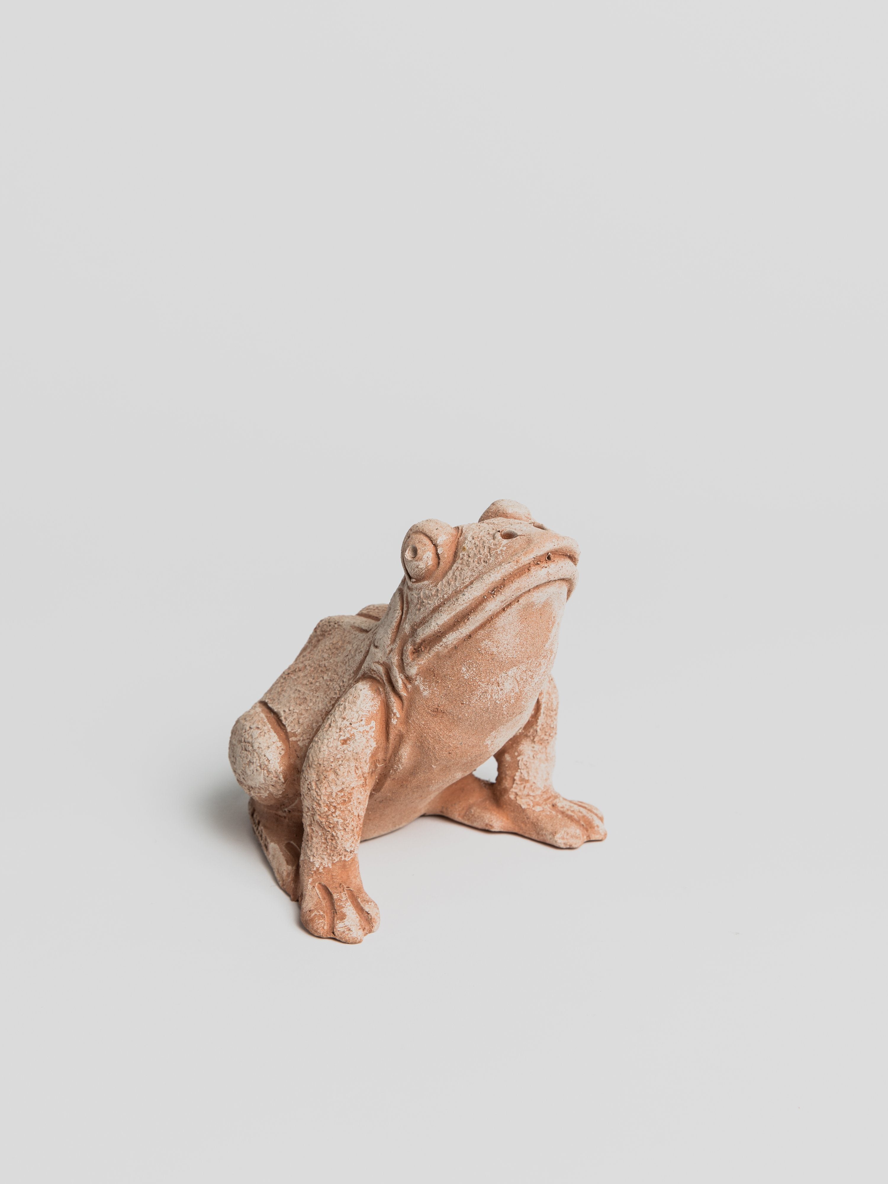 Small Frog Statue - Terracotta Statue M.I.T.A.L