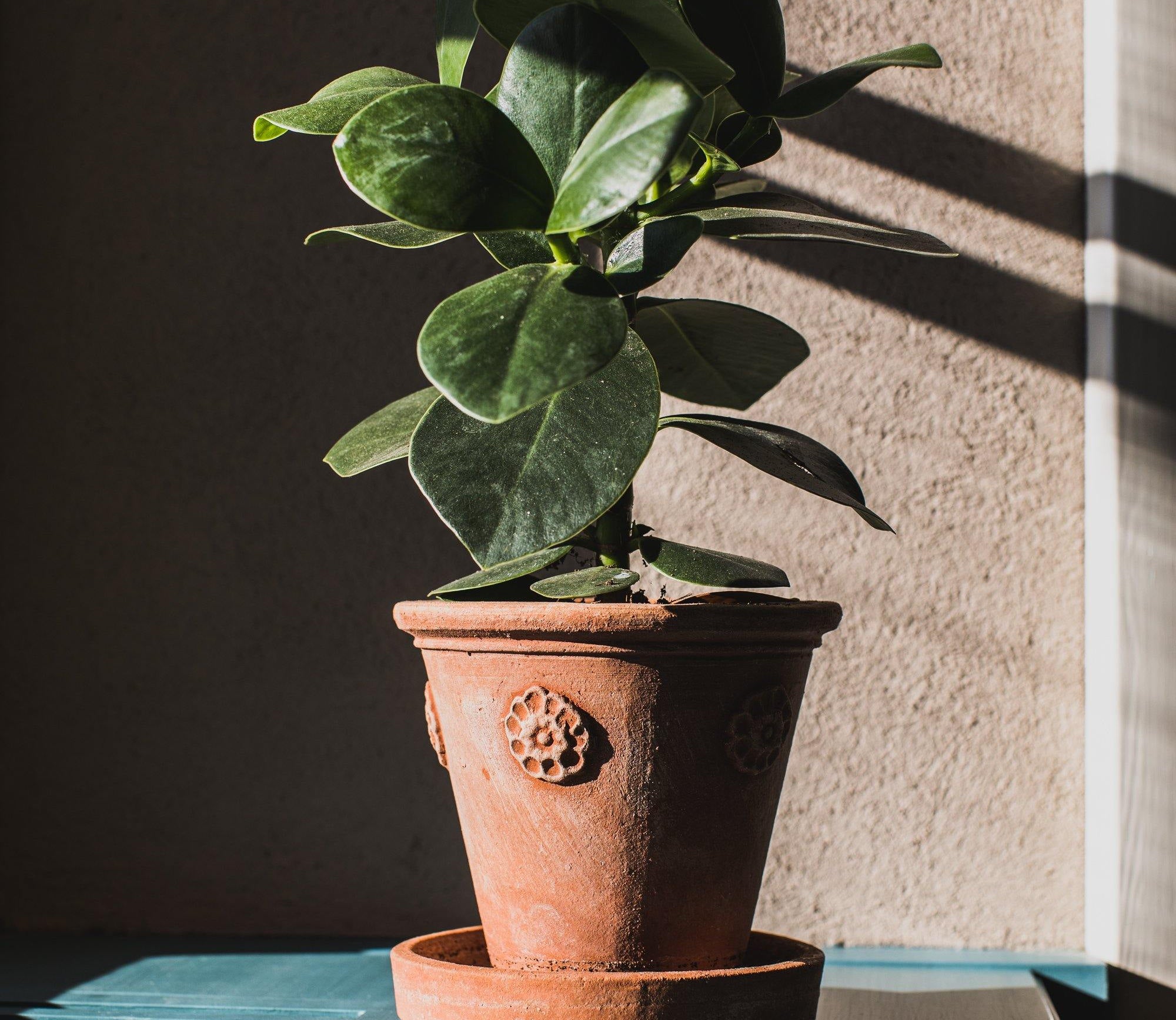 Vasetto Con Rosette - Terracotta Pottery M.I.T.A.L