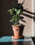 Vasetto Con Rosette - Terracotta Pottery M.I.T.A.L