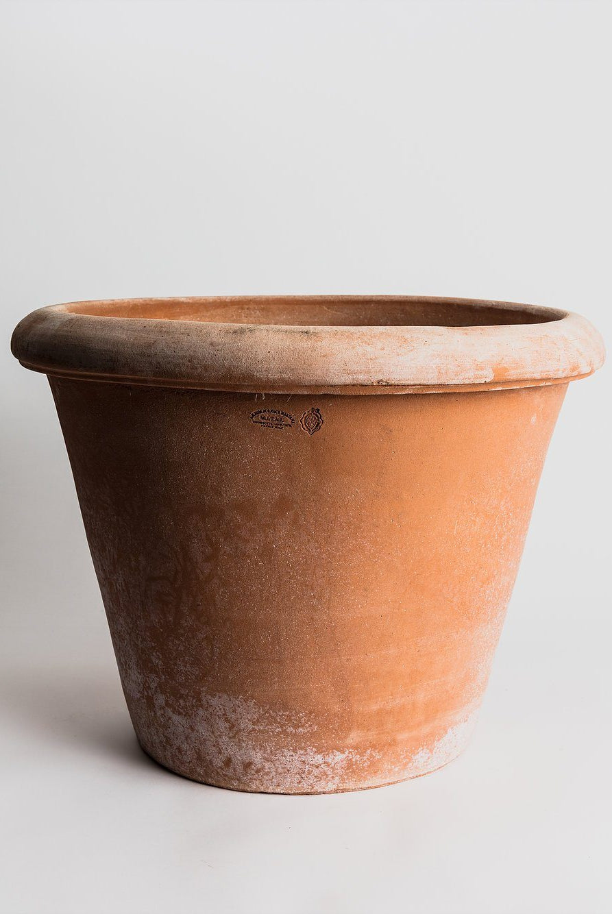 Vaso Liscio Camelia - Terracotta Pottery M.I.T.A.L