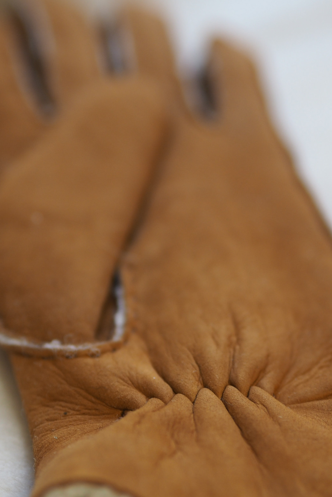 WILMA Lamb Shearling Curly - Cigale & Fourmi
