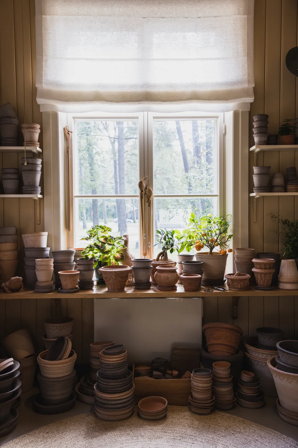 The shop window