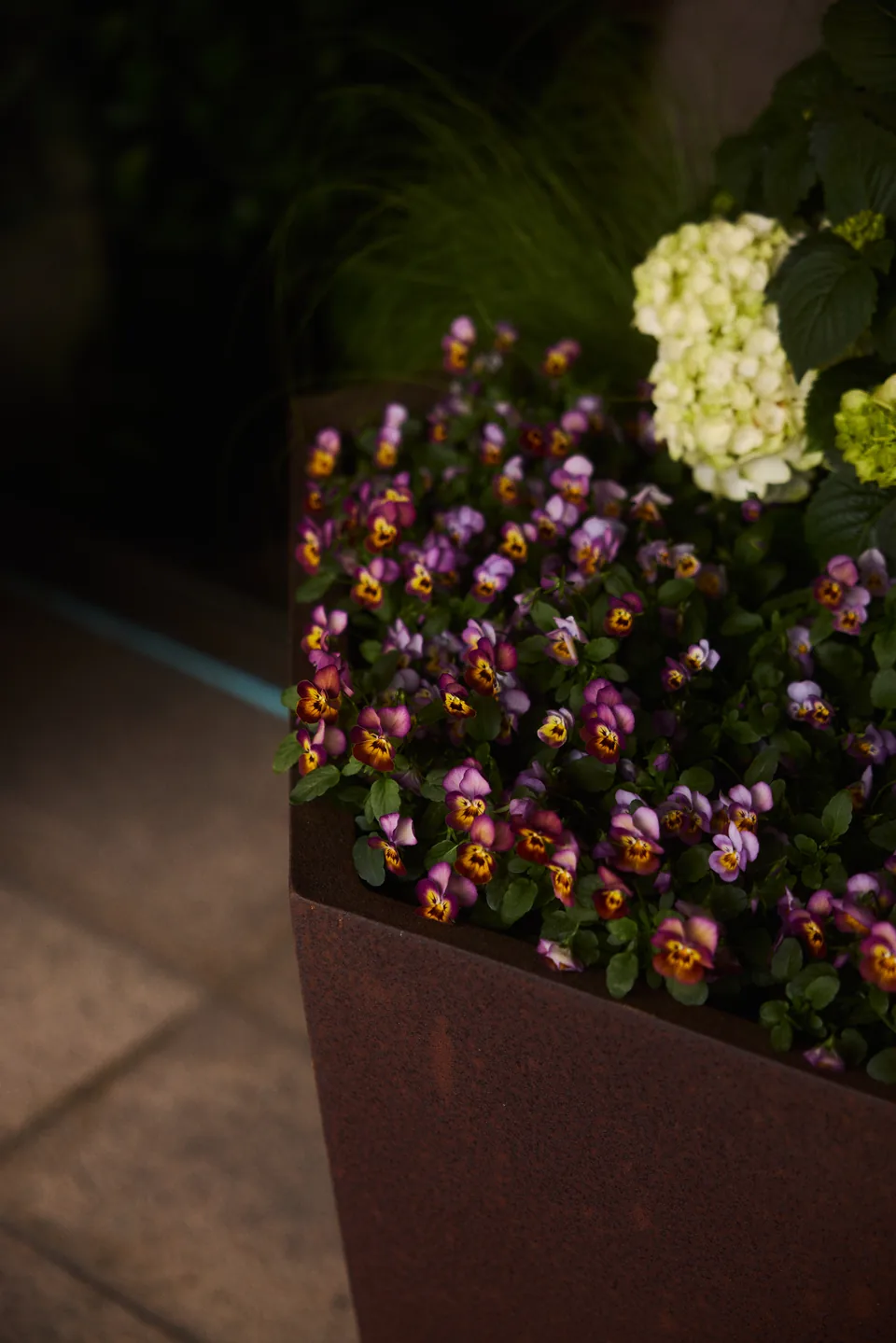 Summer flowers