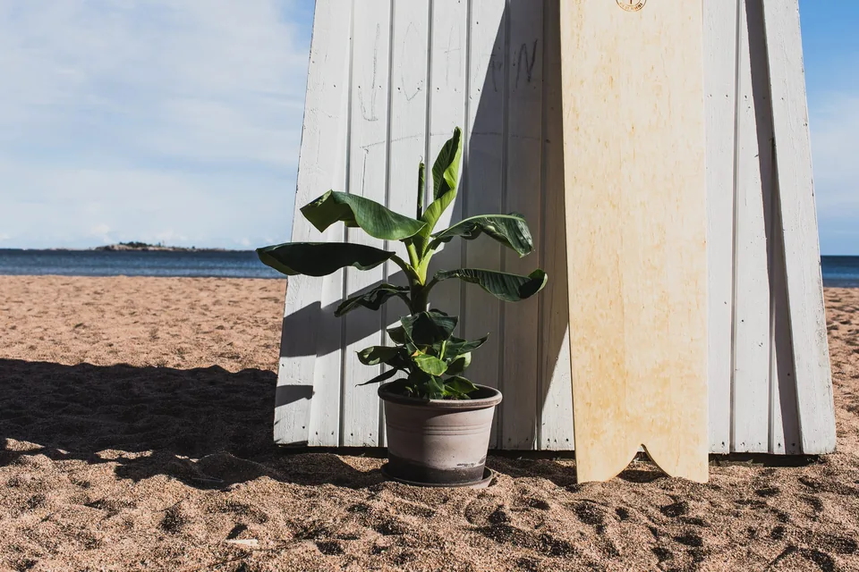 Beach essentials