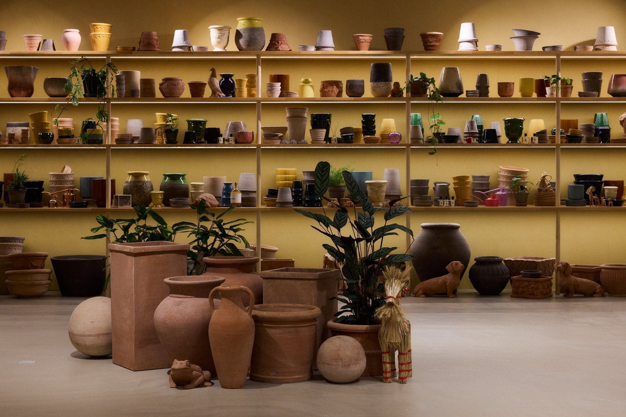 Cigale & Fourmi Espoo - 1st Anniversary