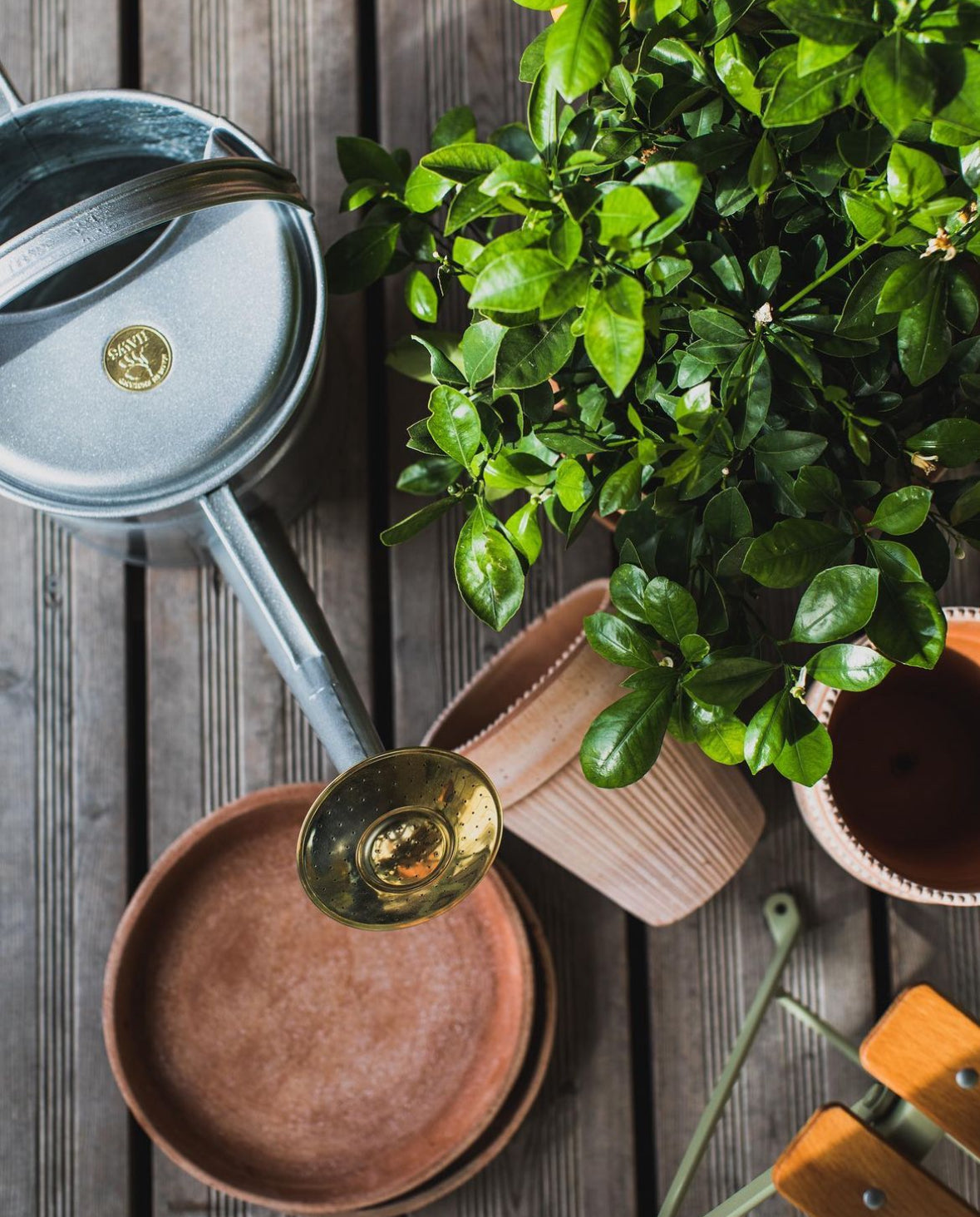 A Potted Garden Can Be Created Anywhere - Craft The Garden Of Your Dreams Using Pots!
