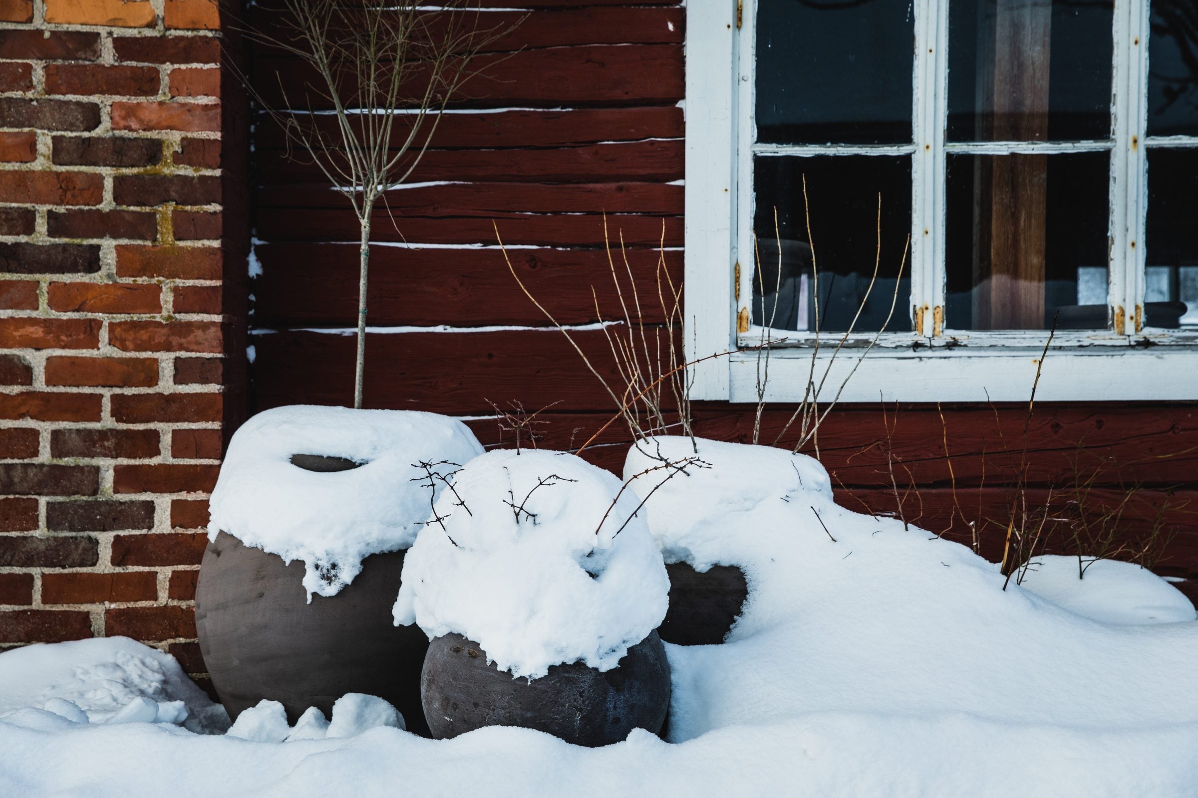Snow-covered pots in winter