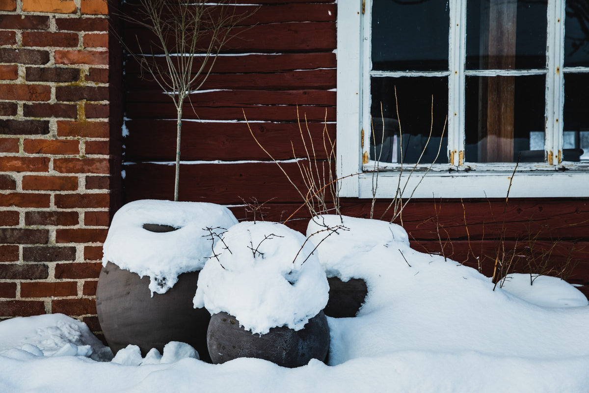 Snow-covered pots in winter