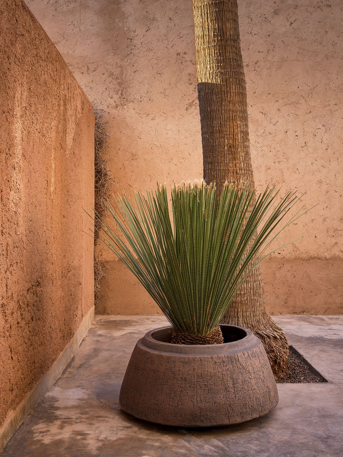 Domani pottery in an architectural garden setting
