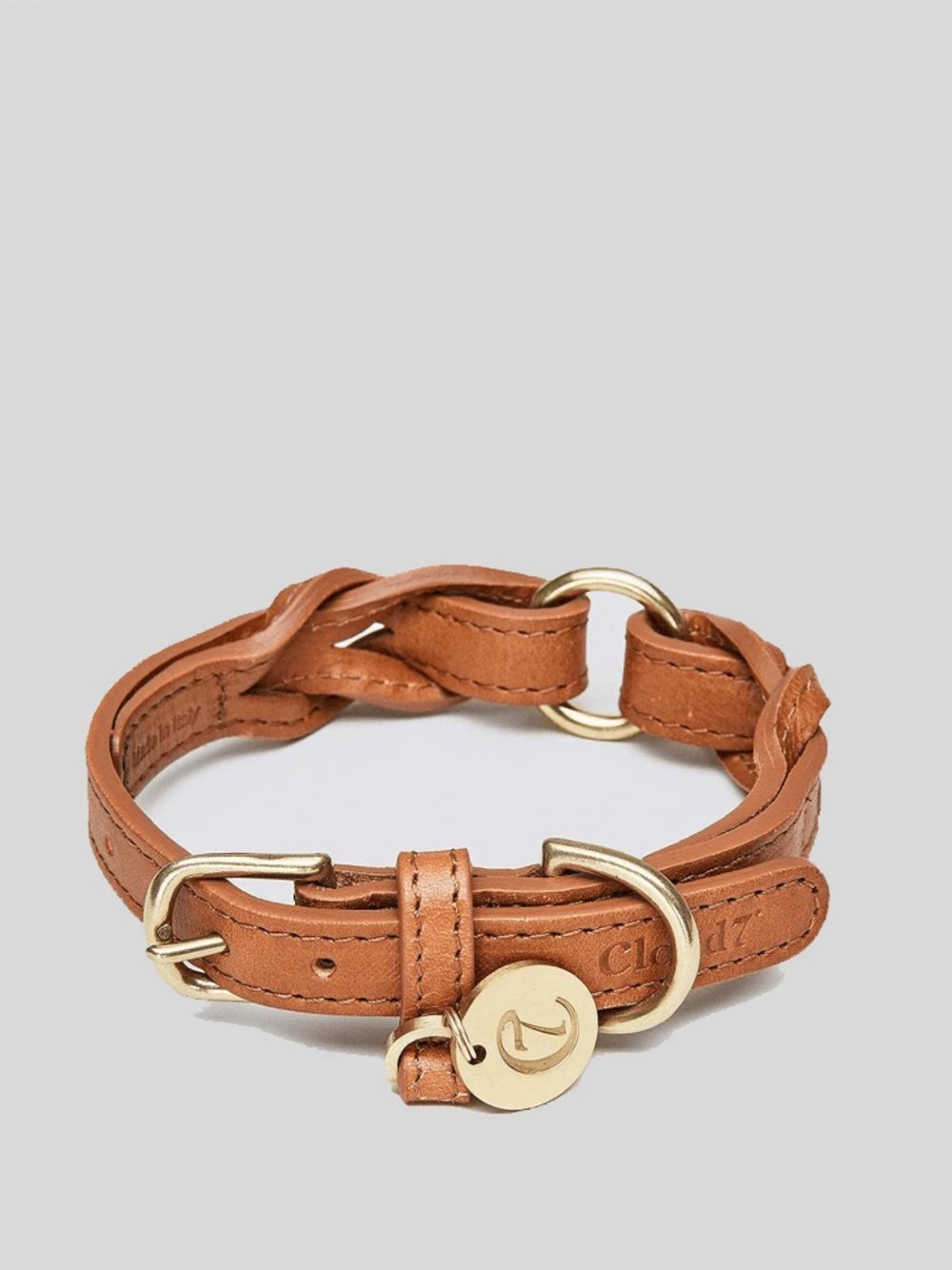 Leash  & Collar