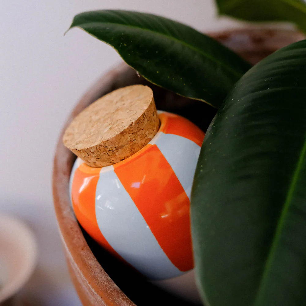 Olla Hydrante - Orange et Bleu