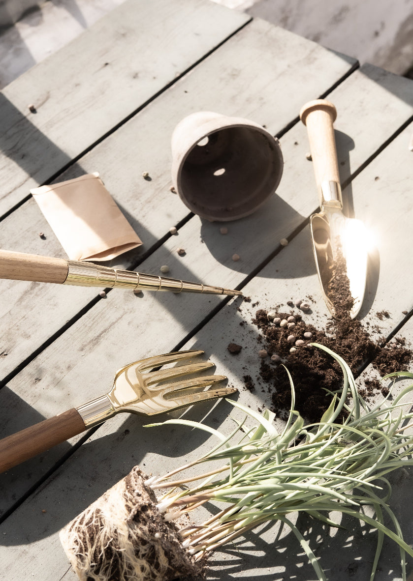 Nurture Planting Stick - Brass / Oak — Skultuna 6