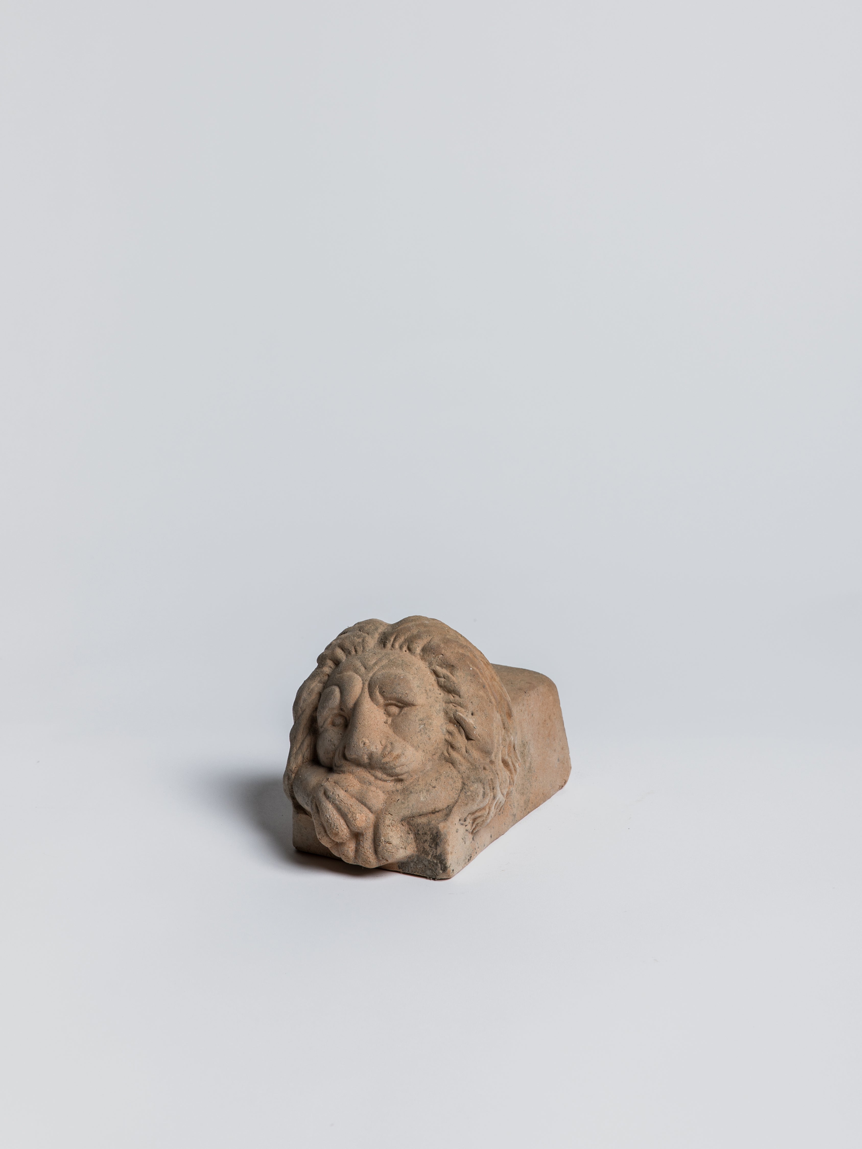 Grand Lion's Paw- Foot - Cigale &  Fourmi