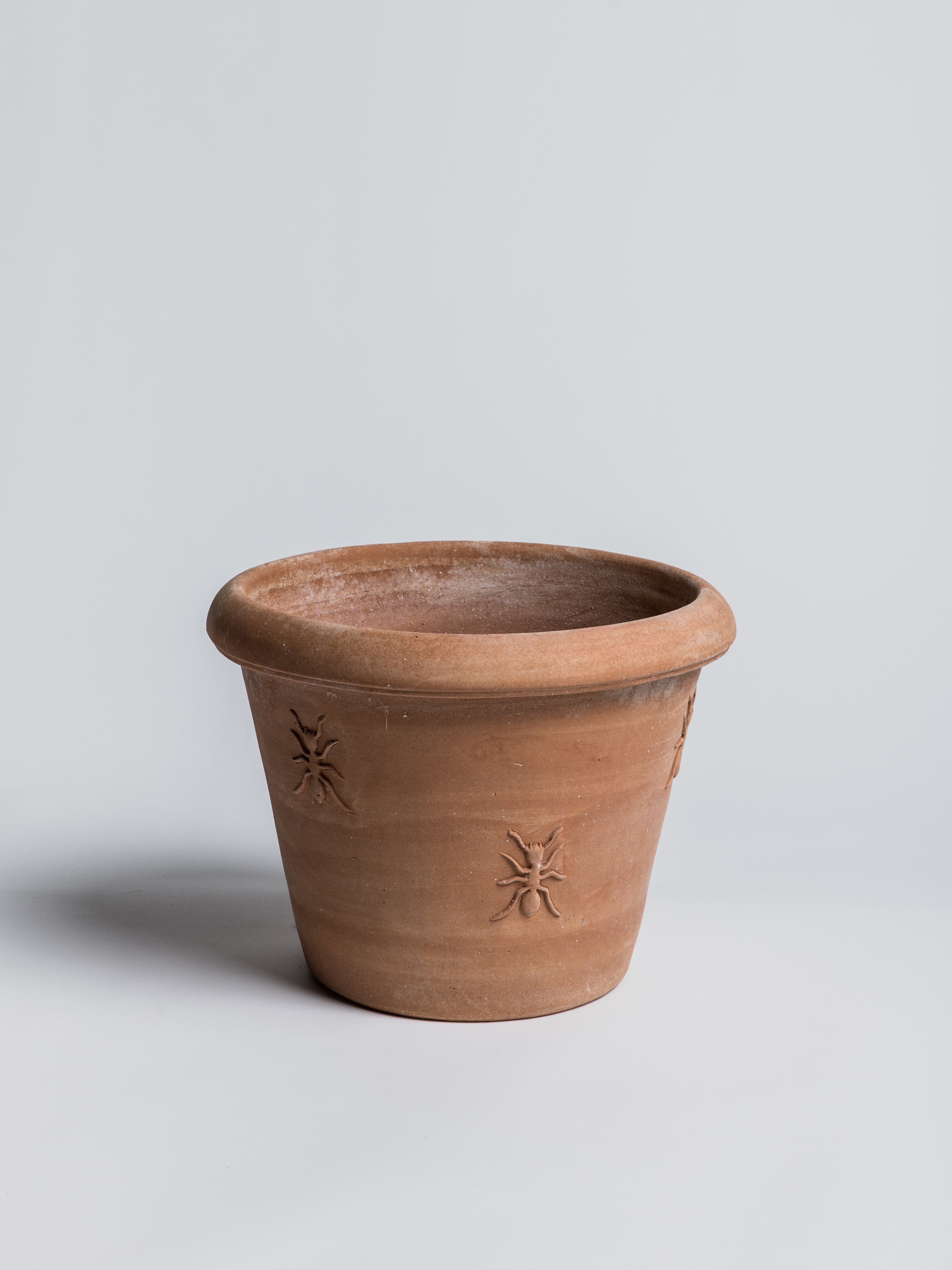 Fourmi Pot - Terracotta - Cigale &  Fourmi