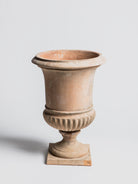 Vanvitelli Pot - Cigale &  Fourmi