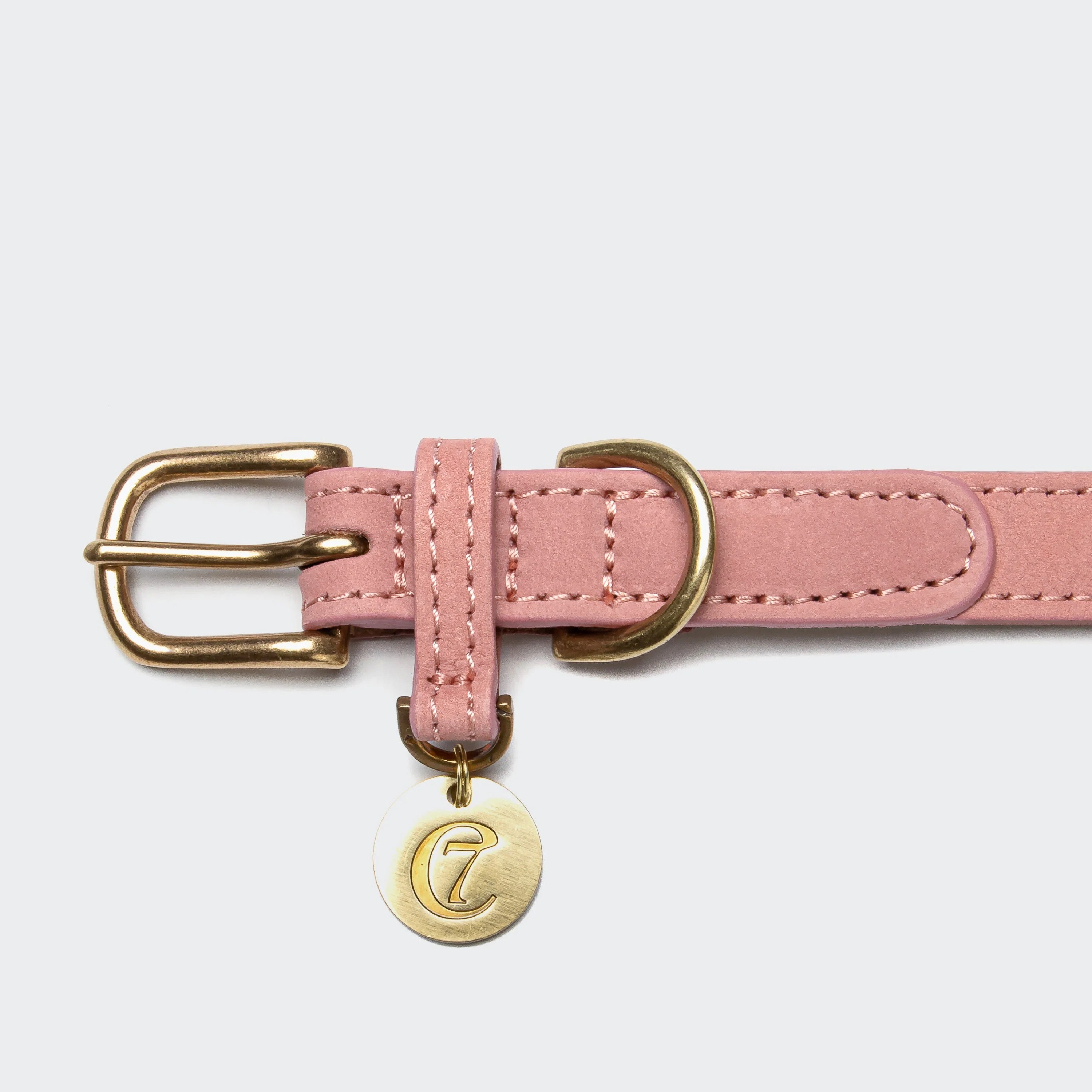 Dog Collar Tiergarten Park - Peach — detail 3